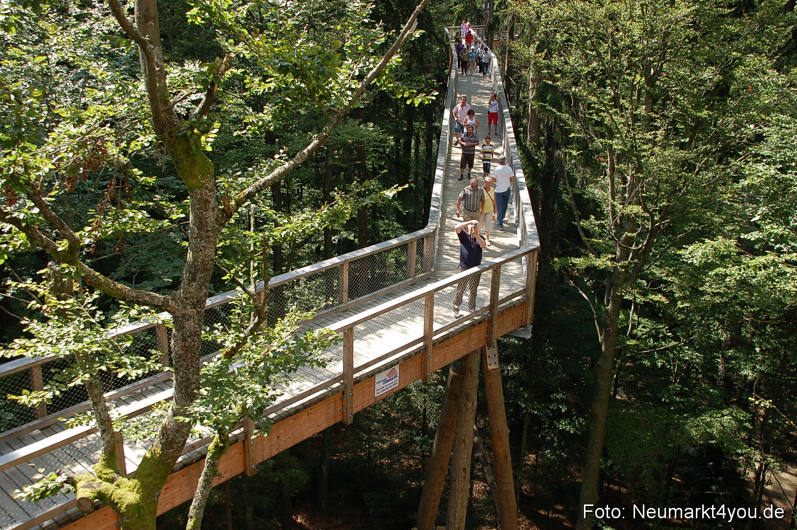 Baumwipfelpfad 210810 0027