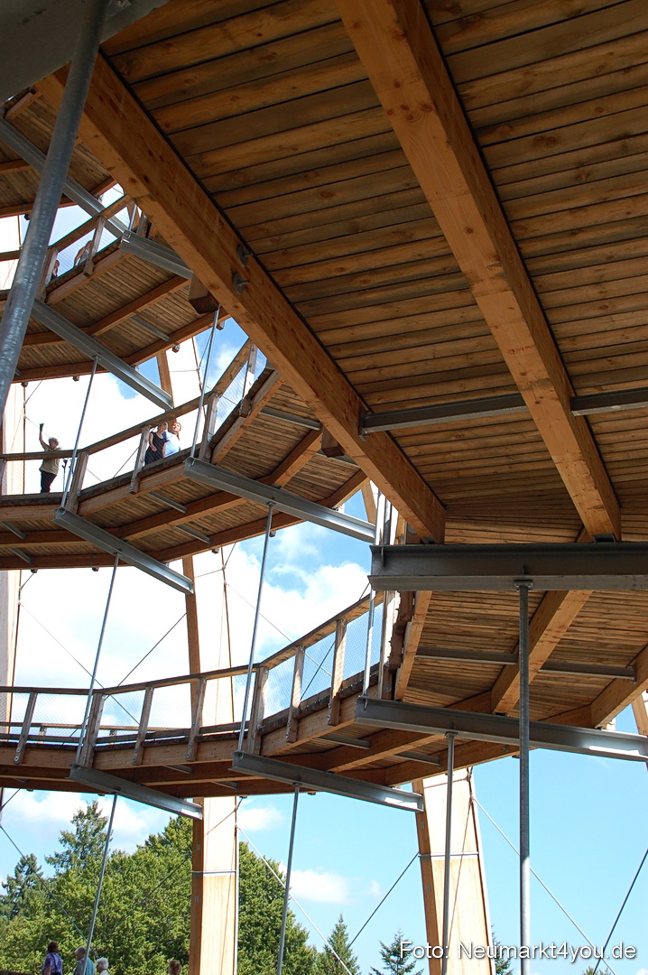 Baumwipfelpfad 210810 0028