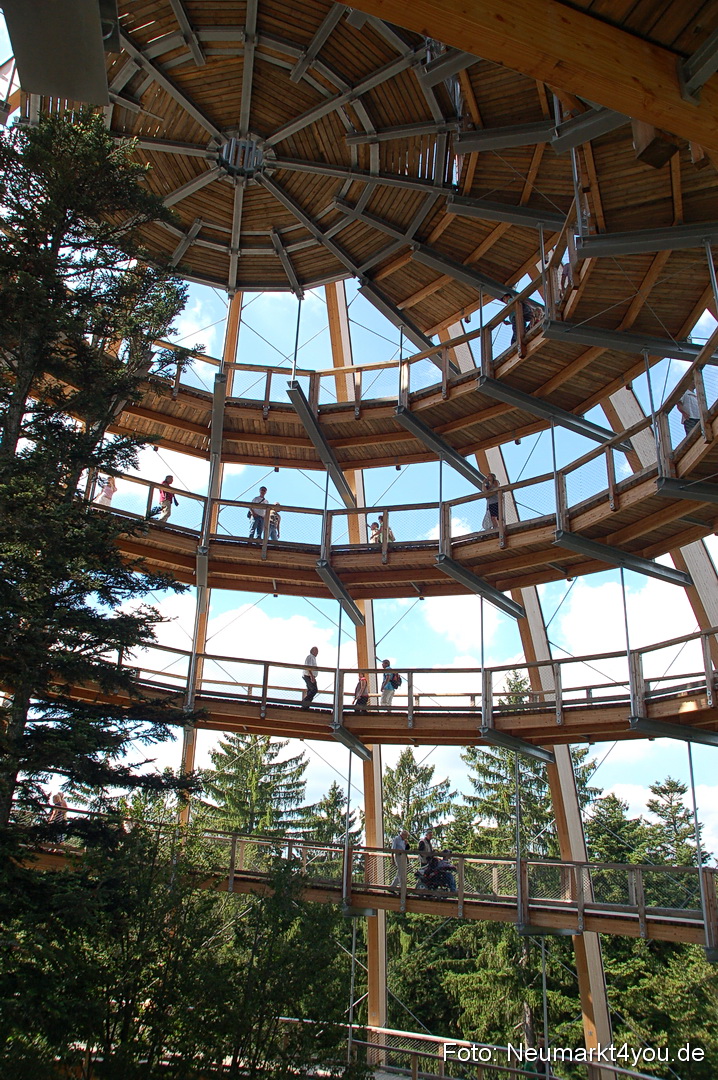 Baumwipfelpfad 210810 0029