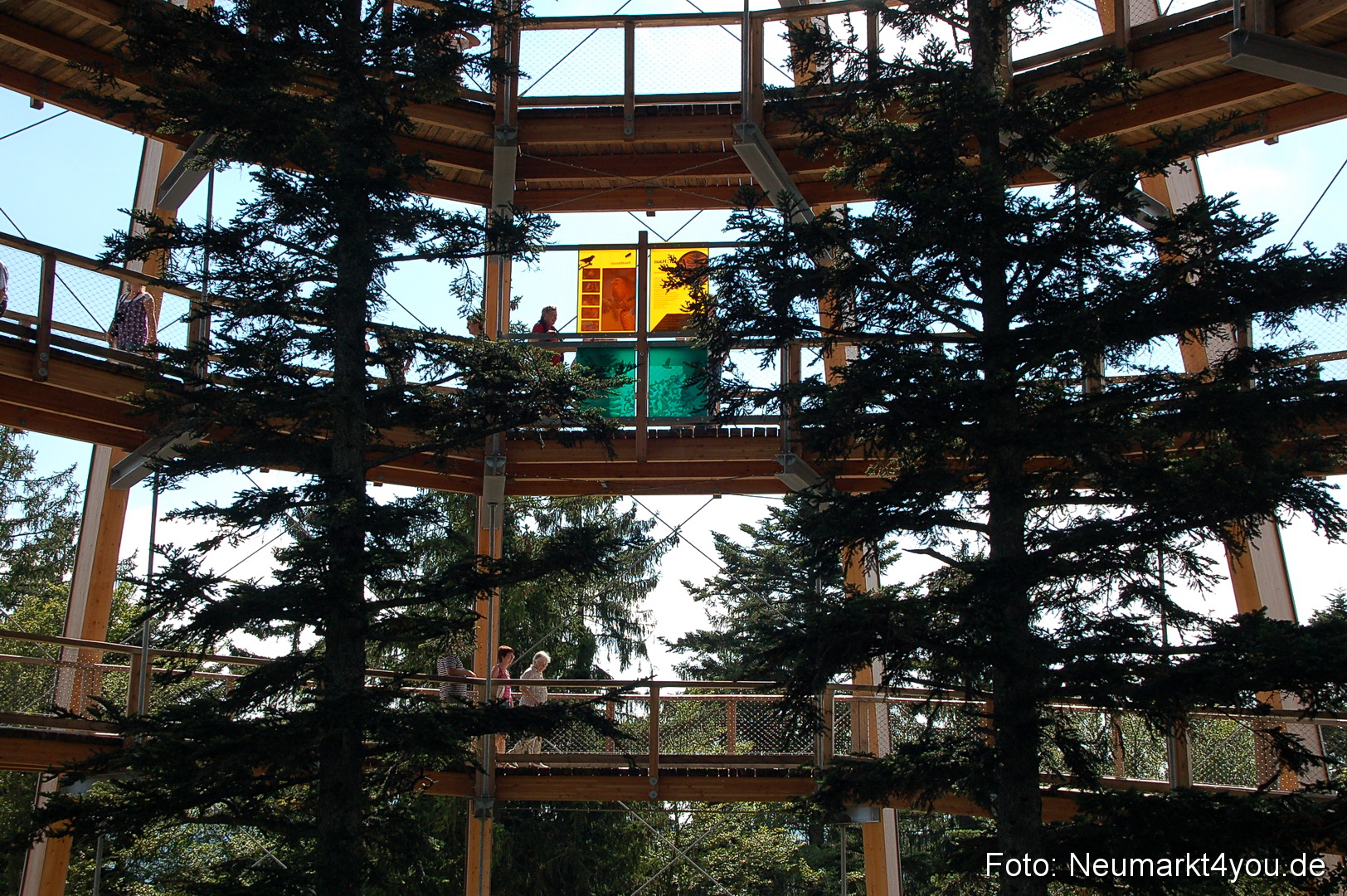 Baumwipfelpfad 210810 0030