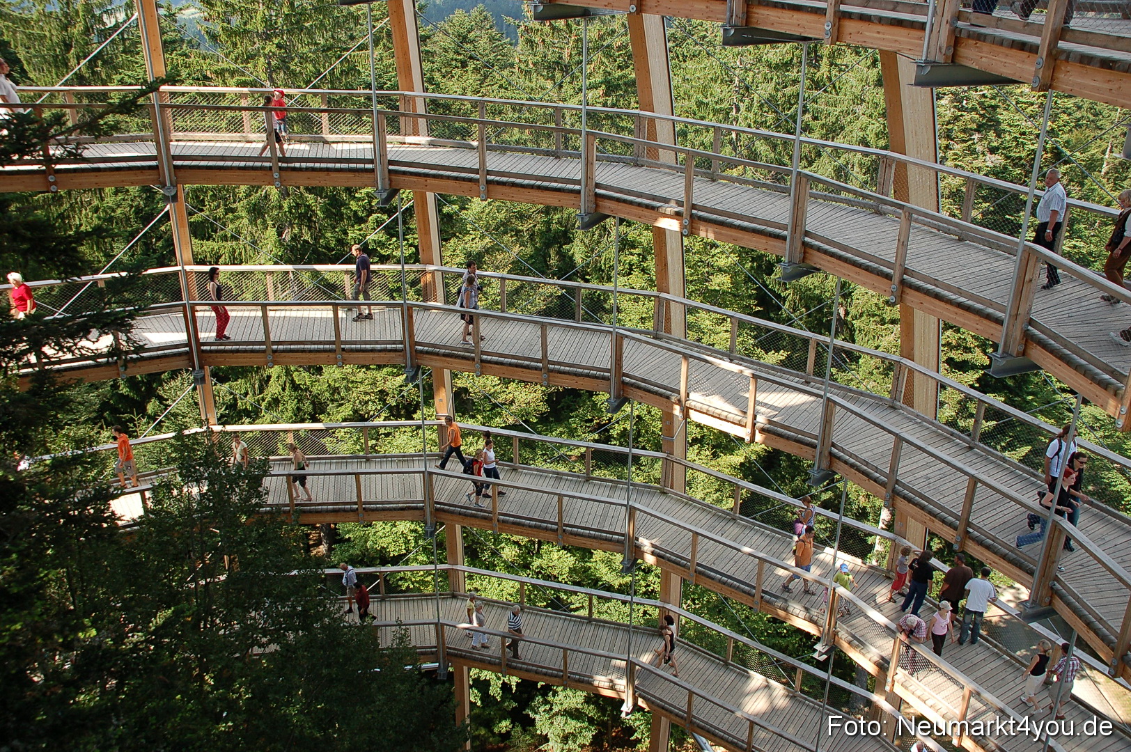 Baumwipfelpfad 210810 0031