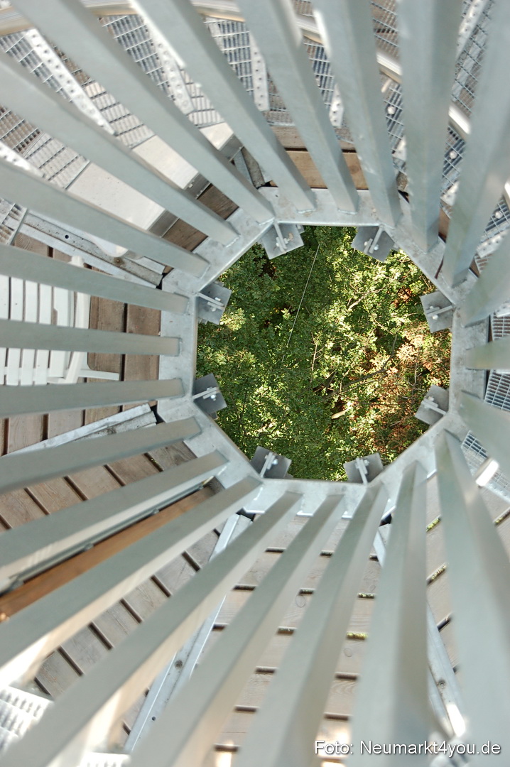 Baumwipfelpfad 210810 0035