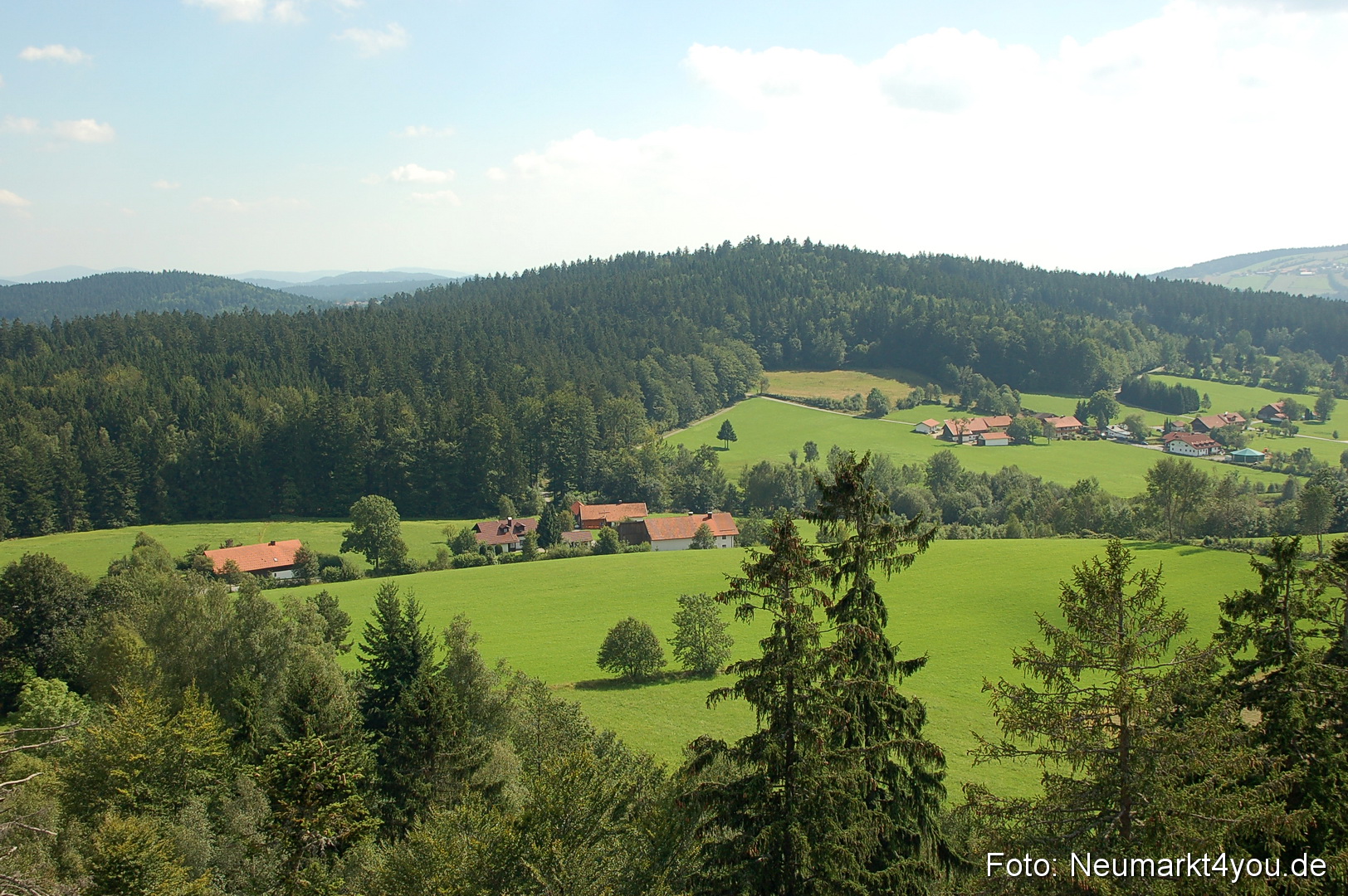 Baumwipfelpfad 210810 0038