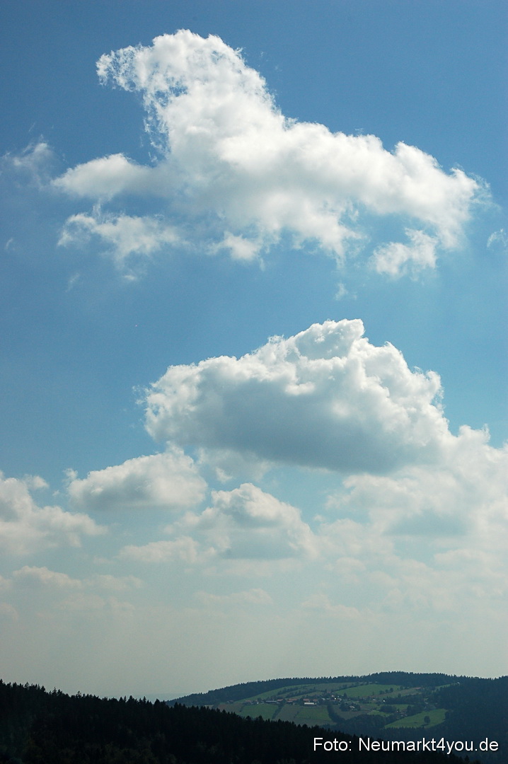 Baumwipfelpfad 210810 0039