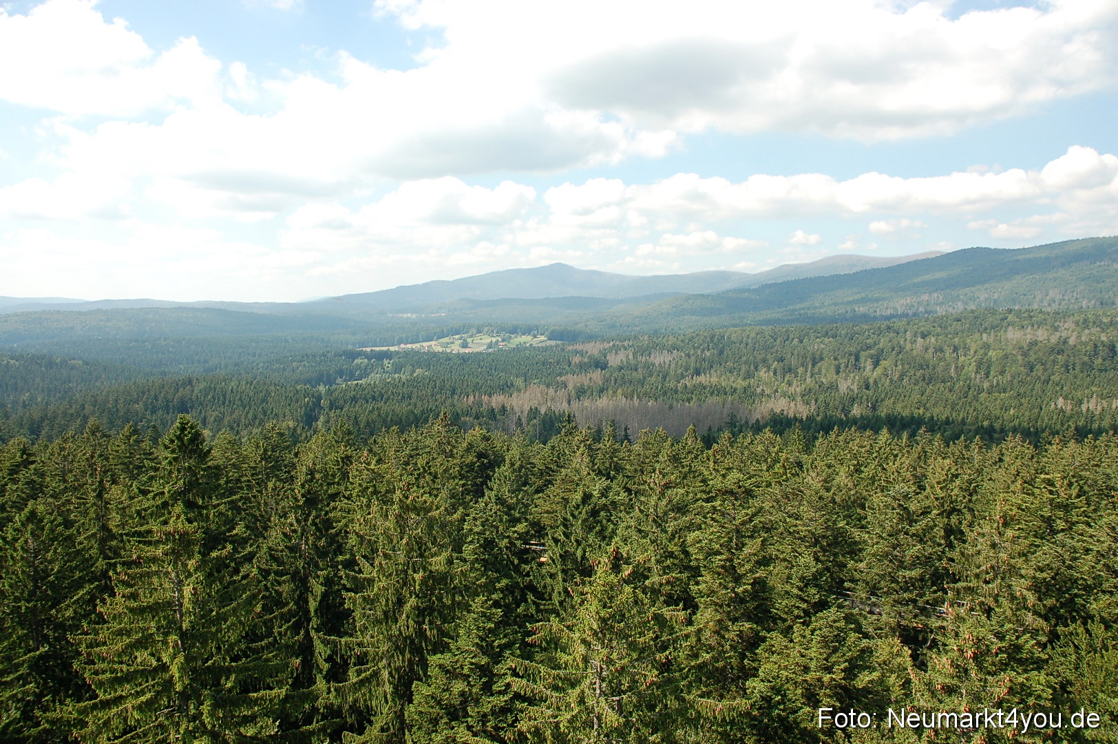 Baumwipfelpfad 210810 0041