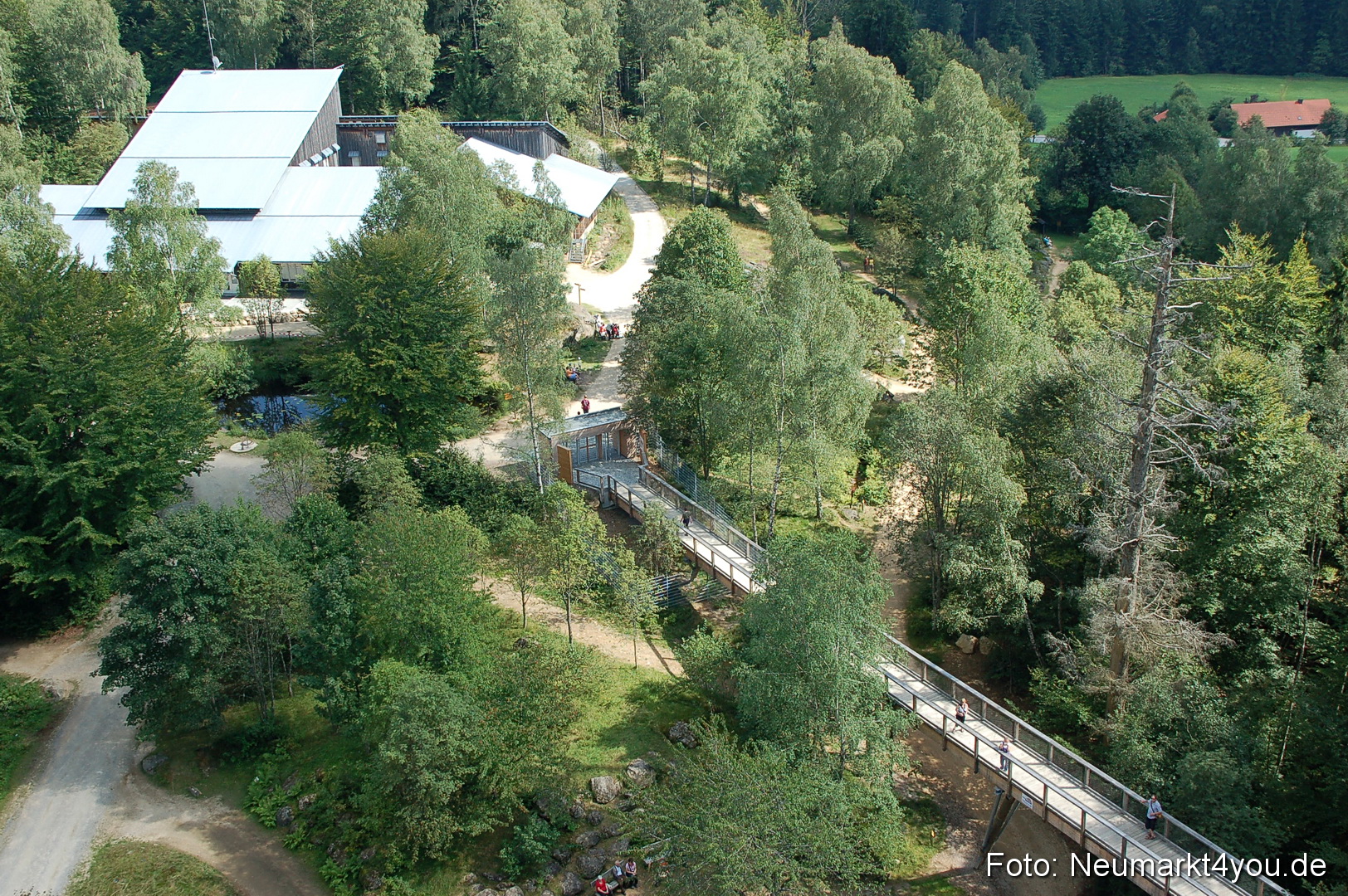 Baumwipfelpfad 210810 0042