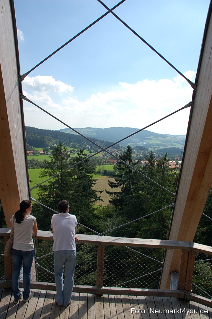 Baumwipfelpfad 210810 0043