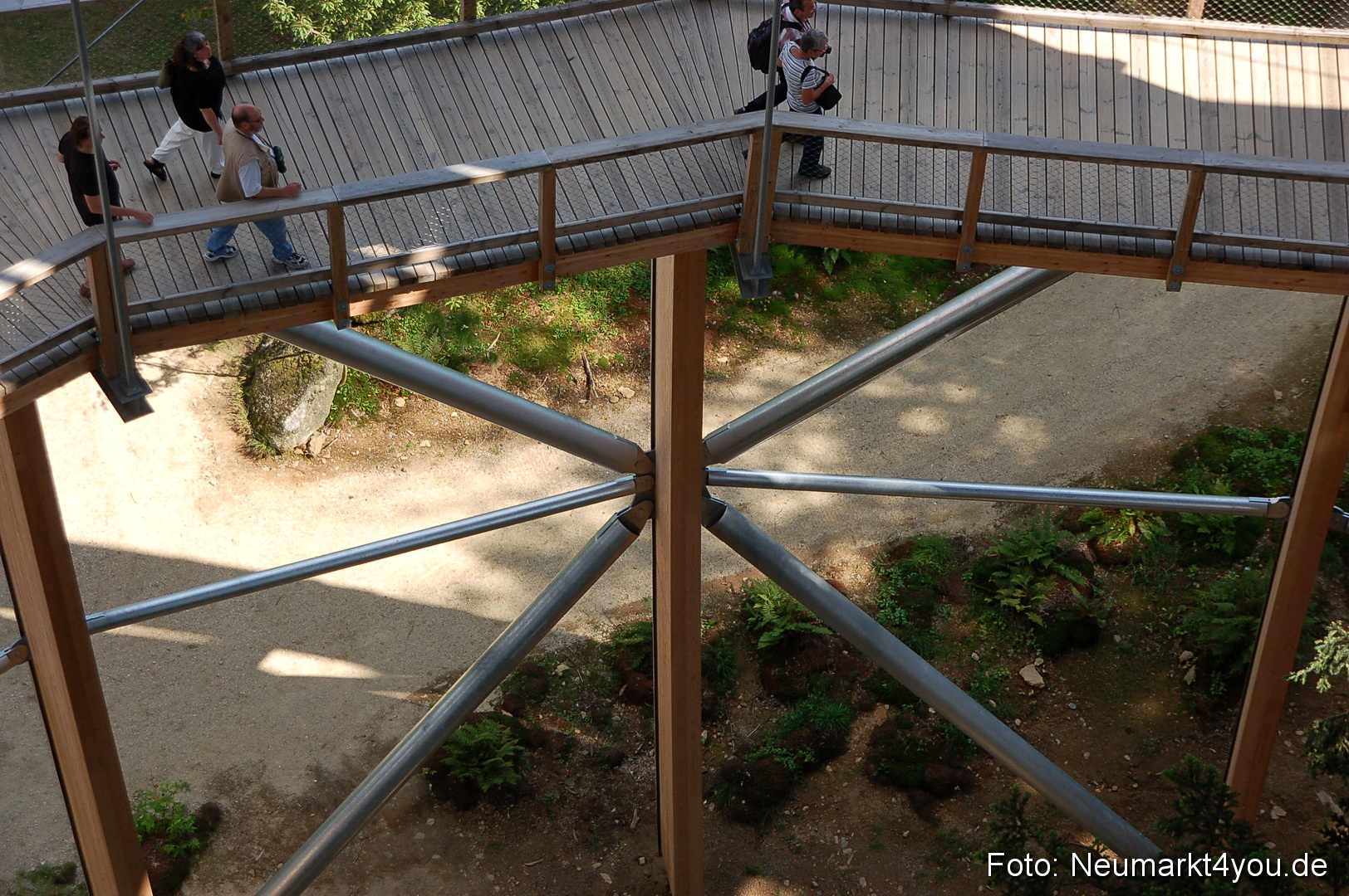 Baumwipfelpfad 210810 0044