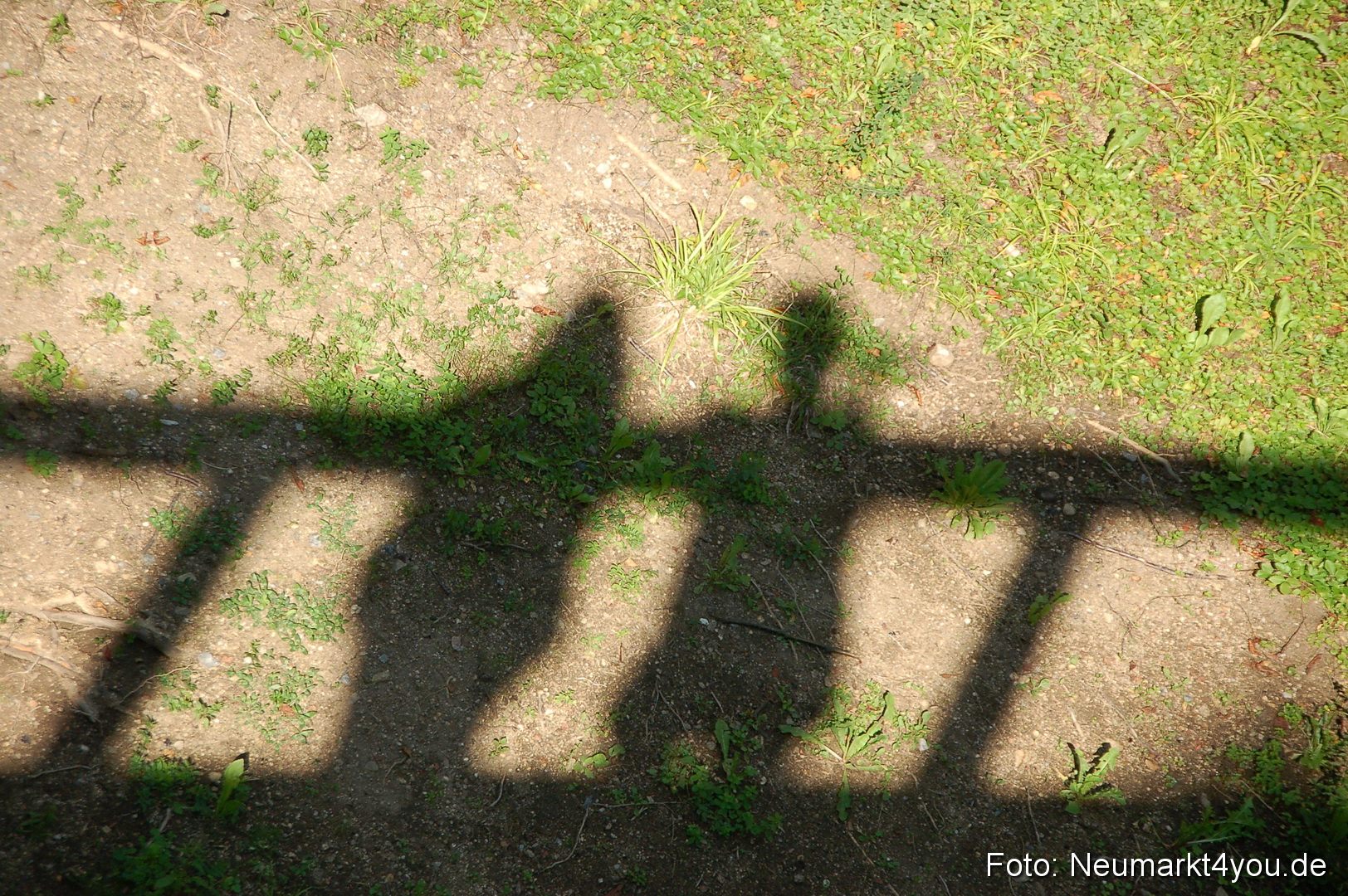 Baumwipfelpfad 210810 0046