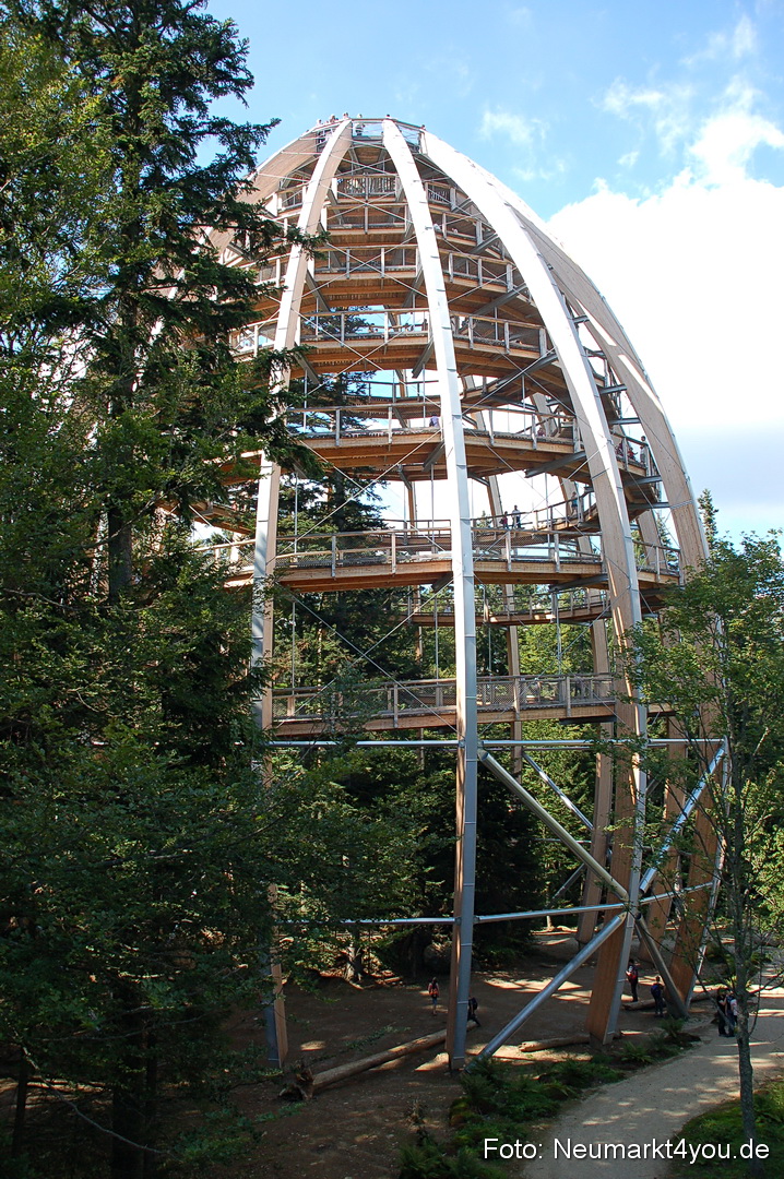 Baumwipfelpfad 210810 0047