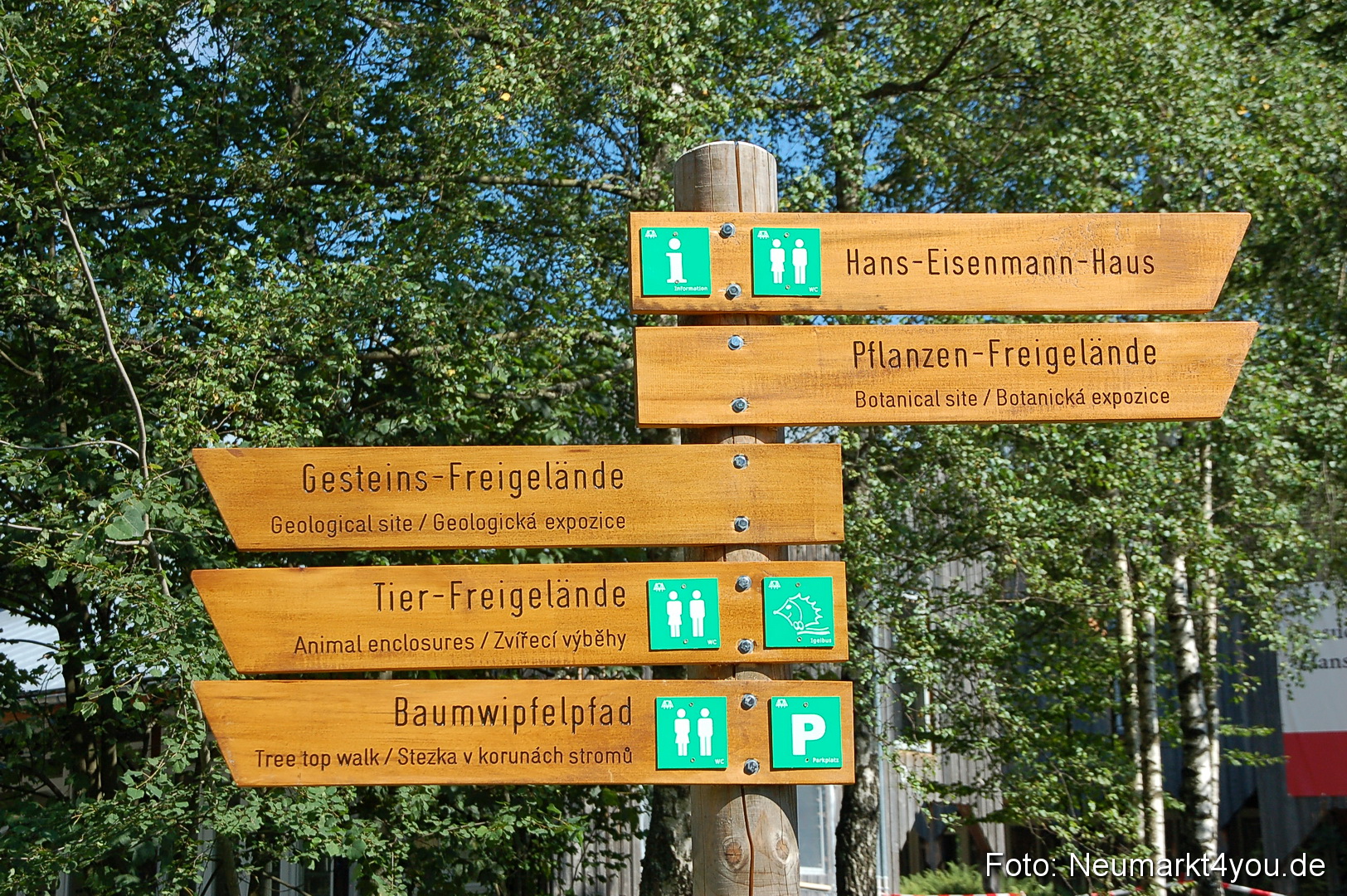 Baumwipfelpfad 210810 0048