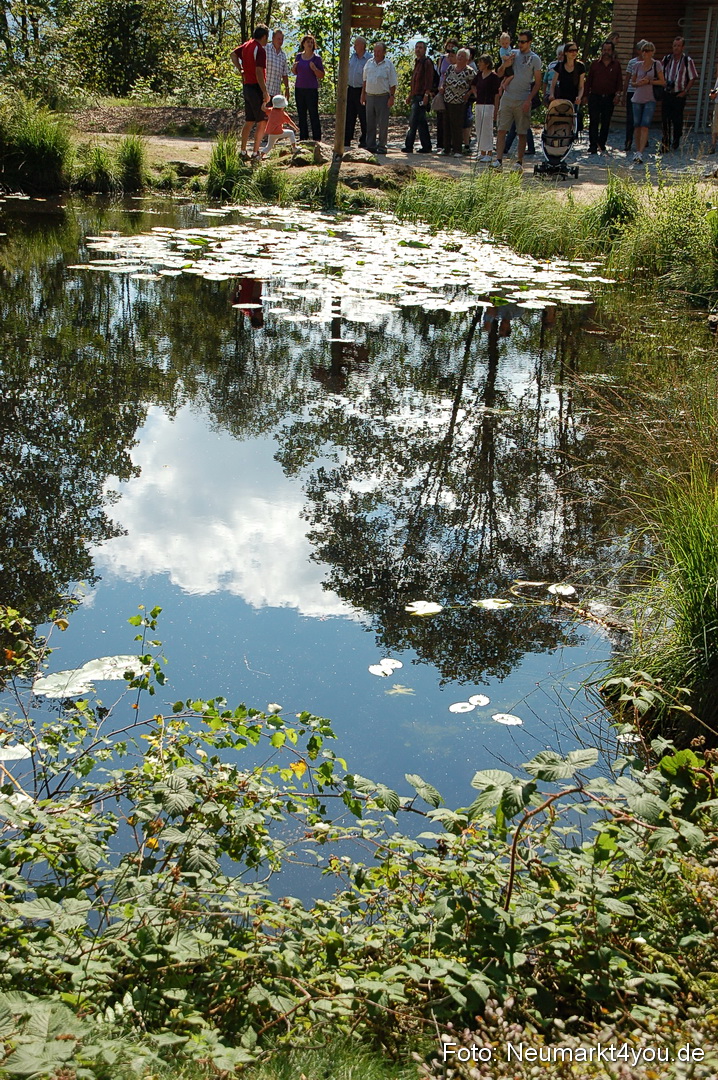 Baumwipfelpfad 210810 0050