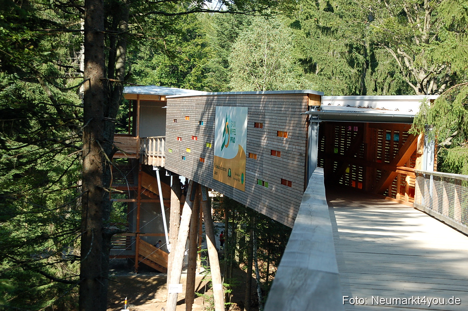 Baumwipfelpfad 210810 0051