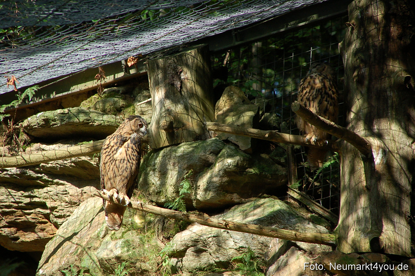 Baumwipfelpfad 210810 0053