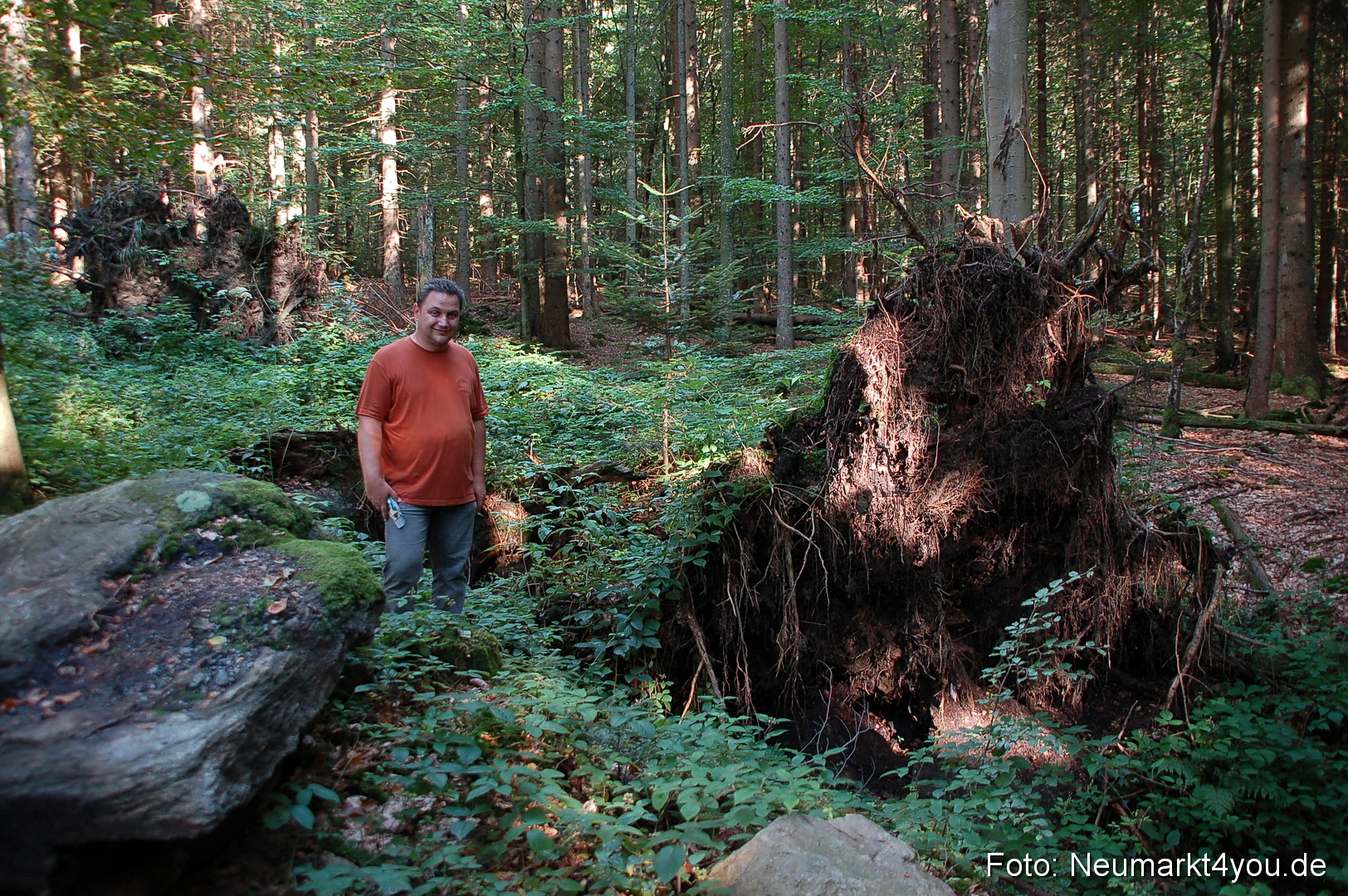 Baumwipfelpfad 210810 0060