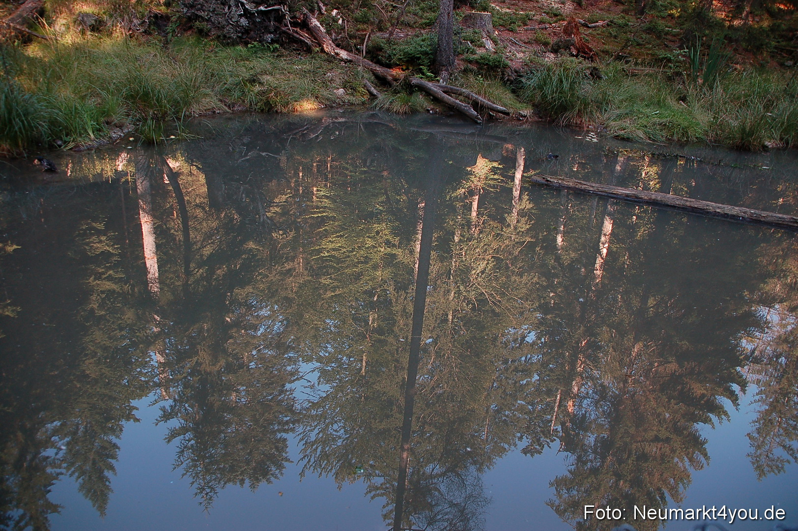 Baumwipfelpfad 210810 0062