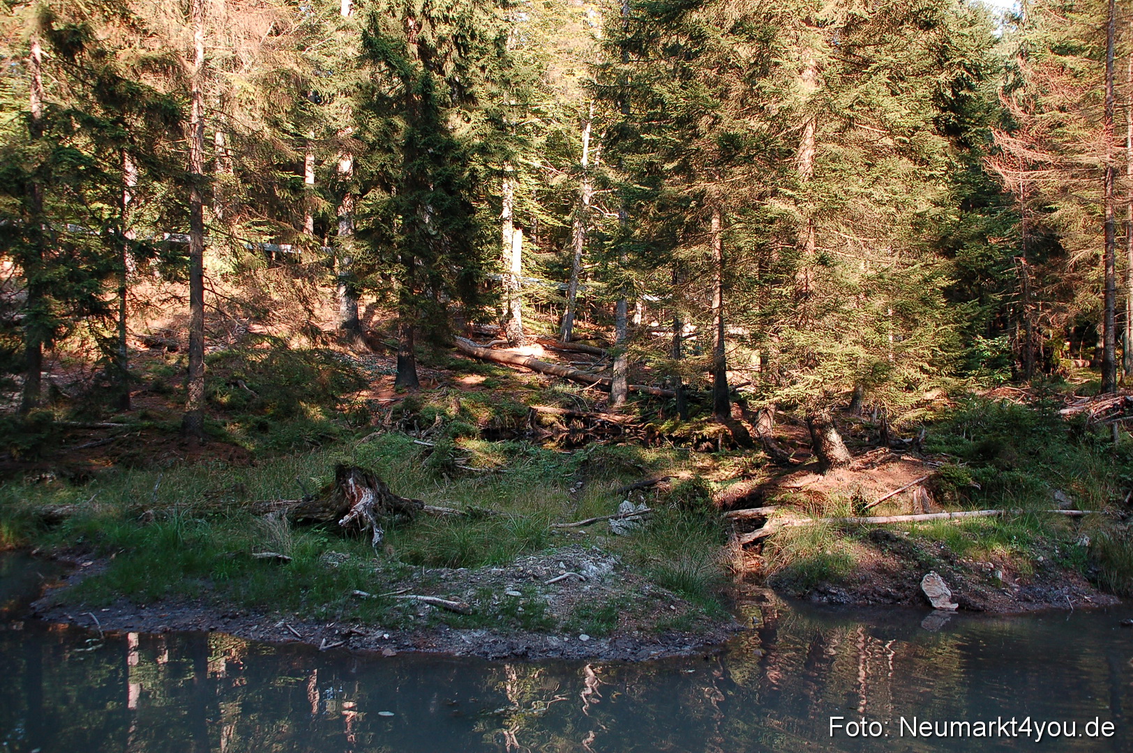 Baumwipfelpfad 210810 0063