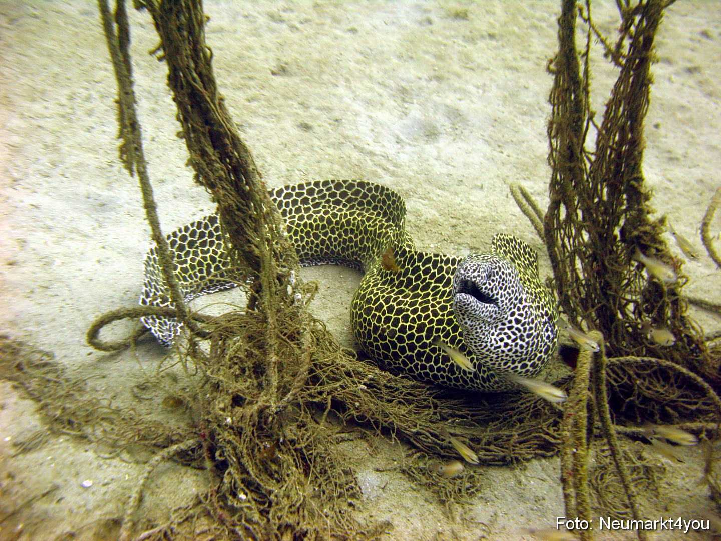 Oman September 2010 0033