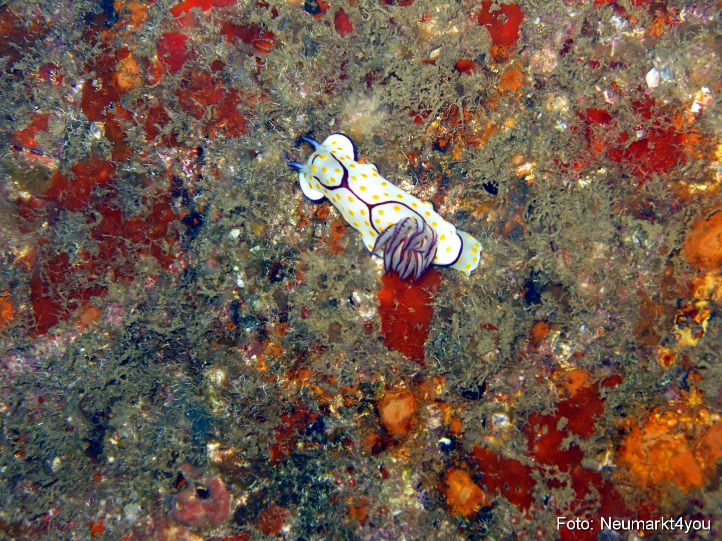 Oman September 2010 0034