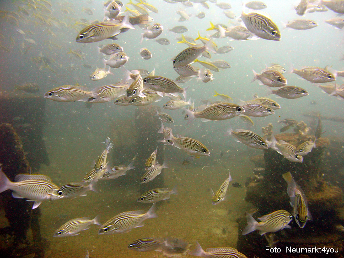 Oman September 2010 0035