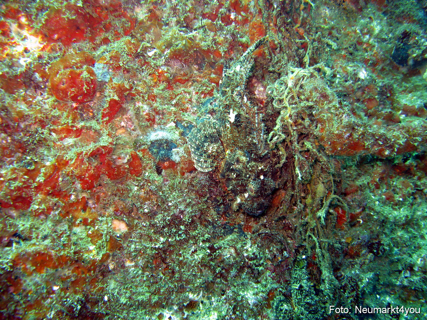 Oman September 2010 0036