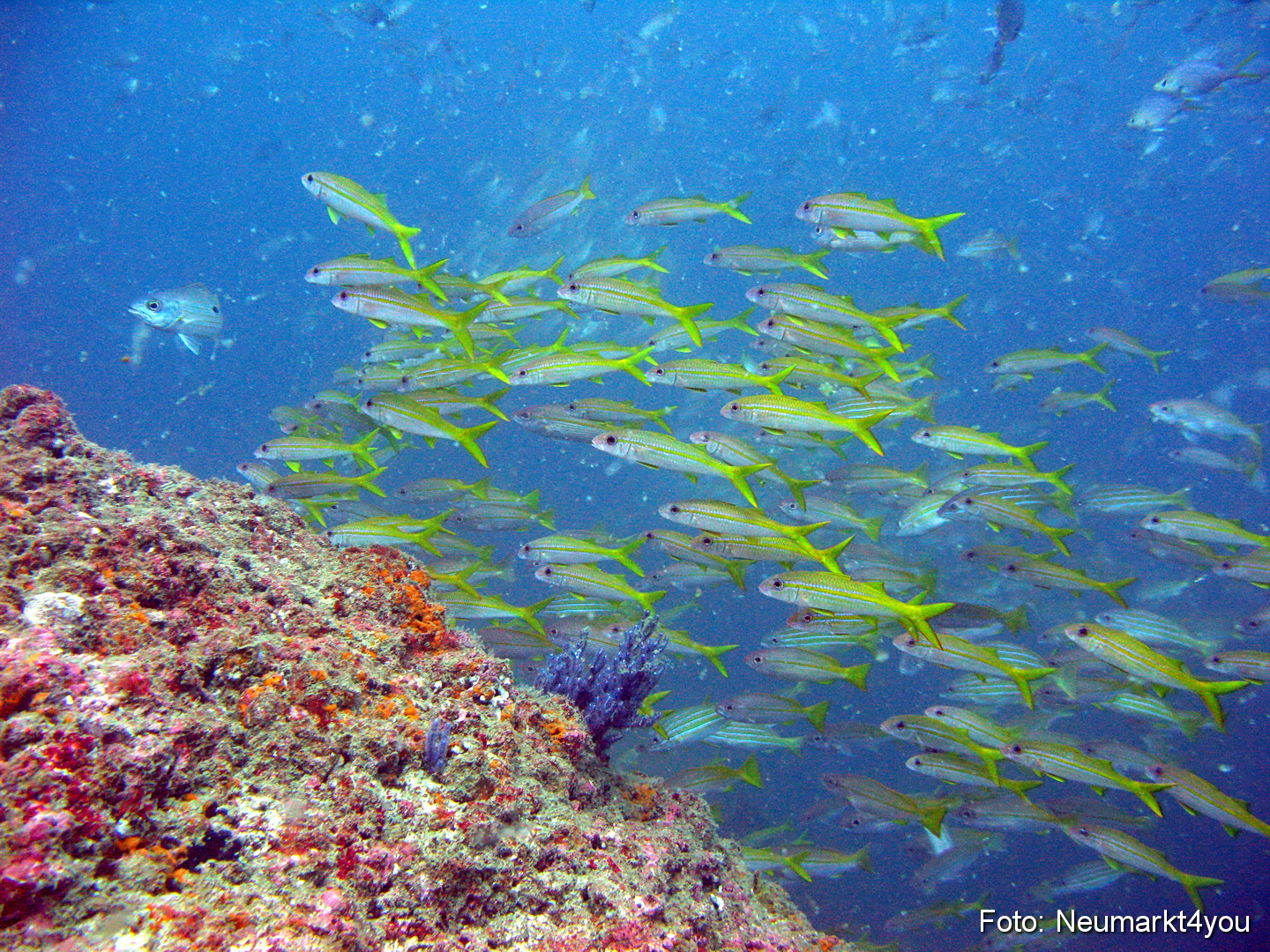 Oman September 2010 0038