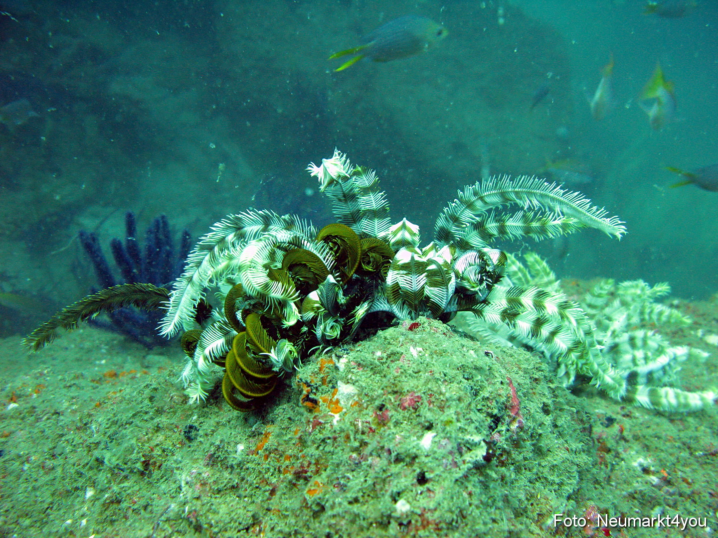 Oman September 2010 0039