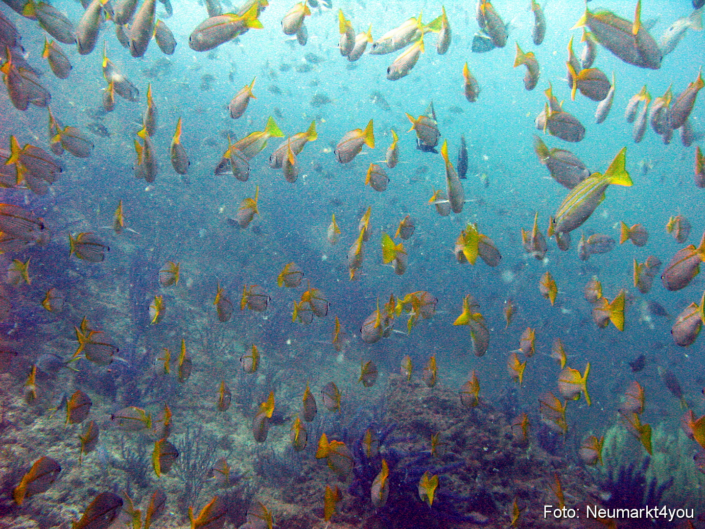 Oman September 2010 0040