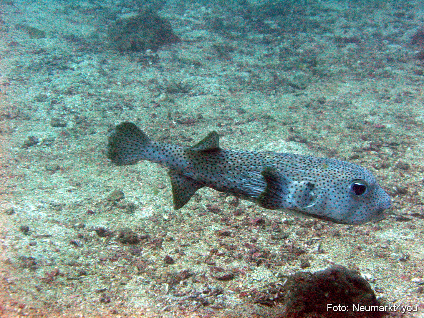 Oman September 2010 0041