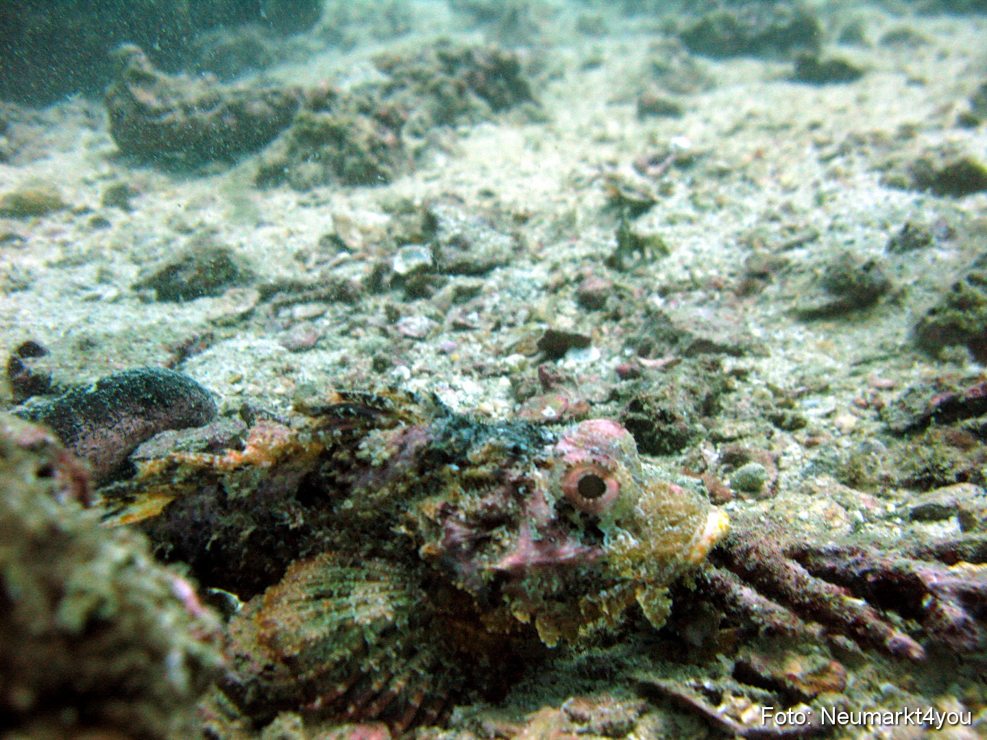 Oman September 2010 0042