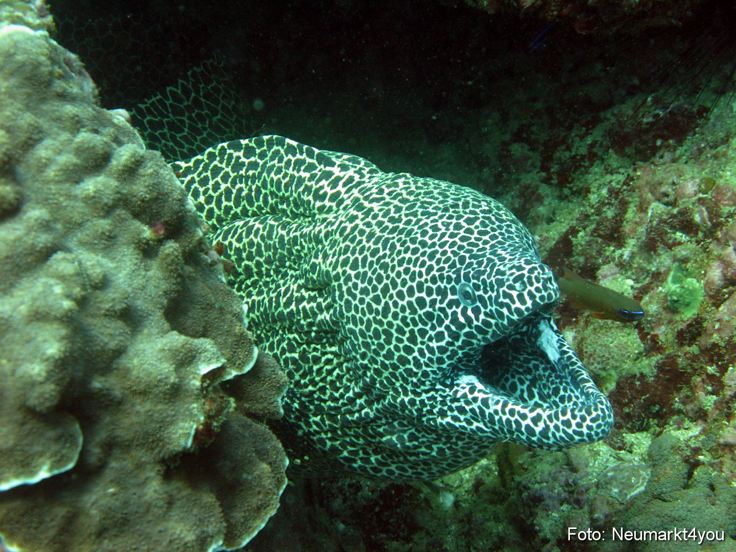 Oman September 2010 0043