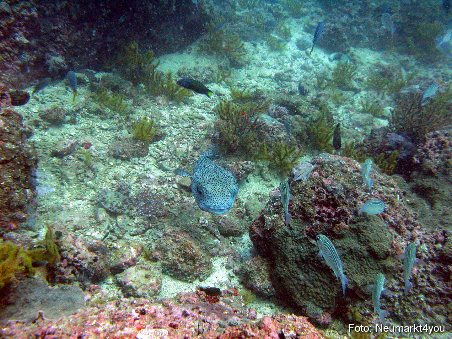 Oman September 2010 0044