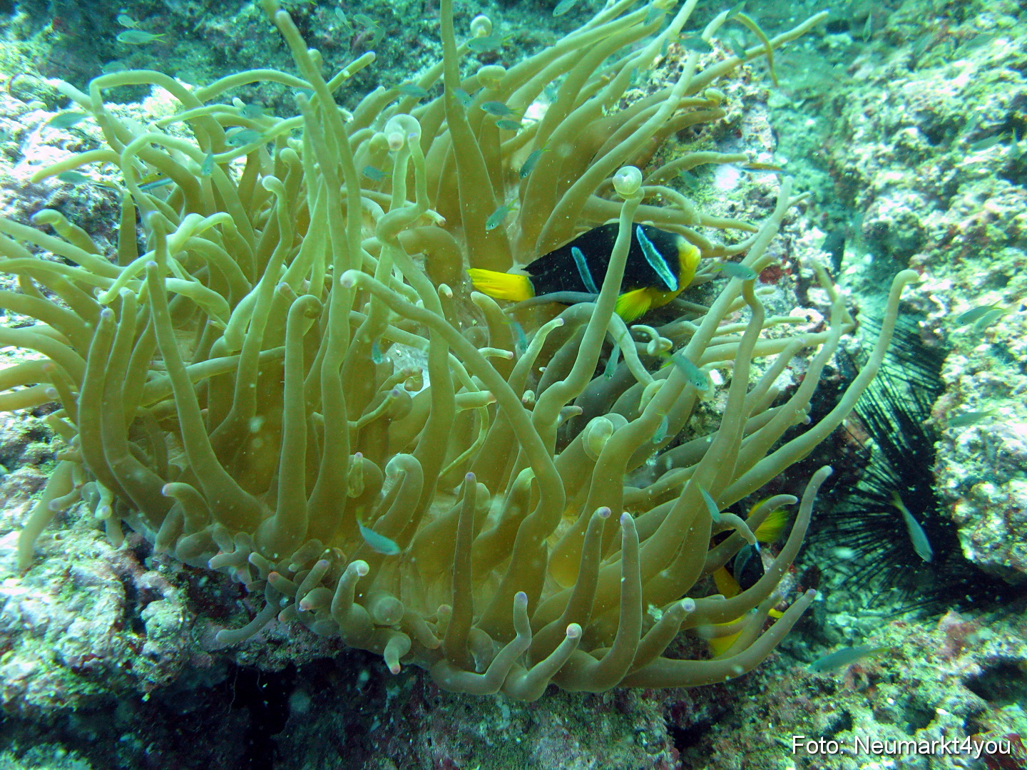 Oman September 2010 0045