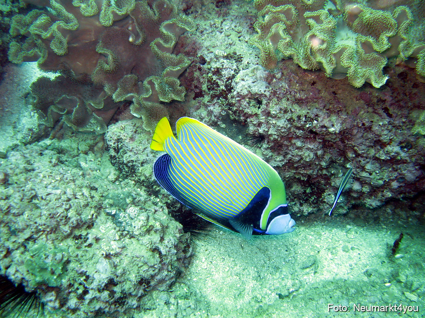 Oman September 2010 0049