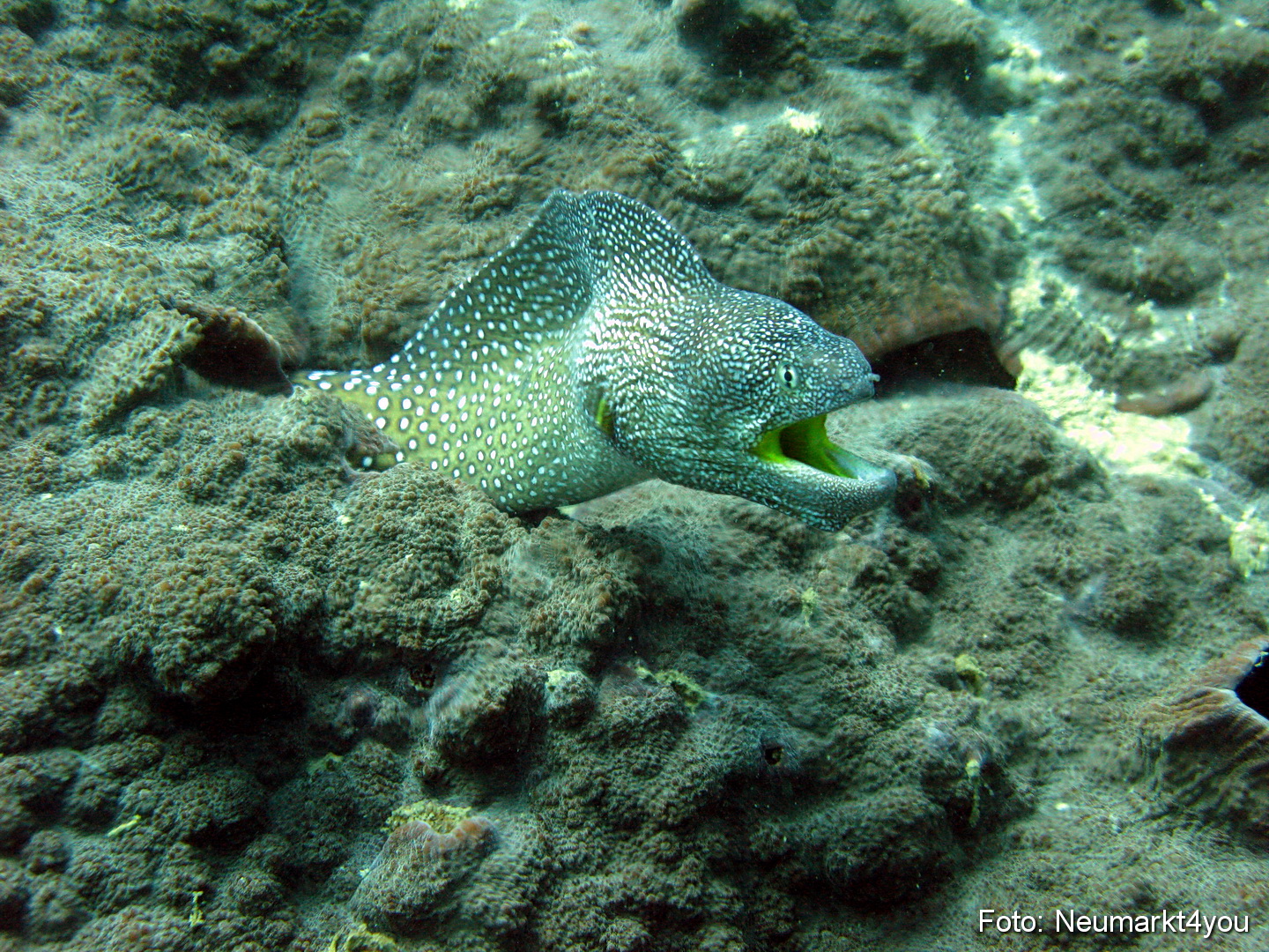 Oman September 2010 0050