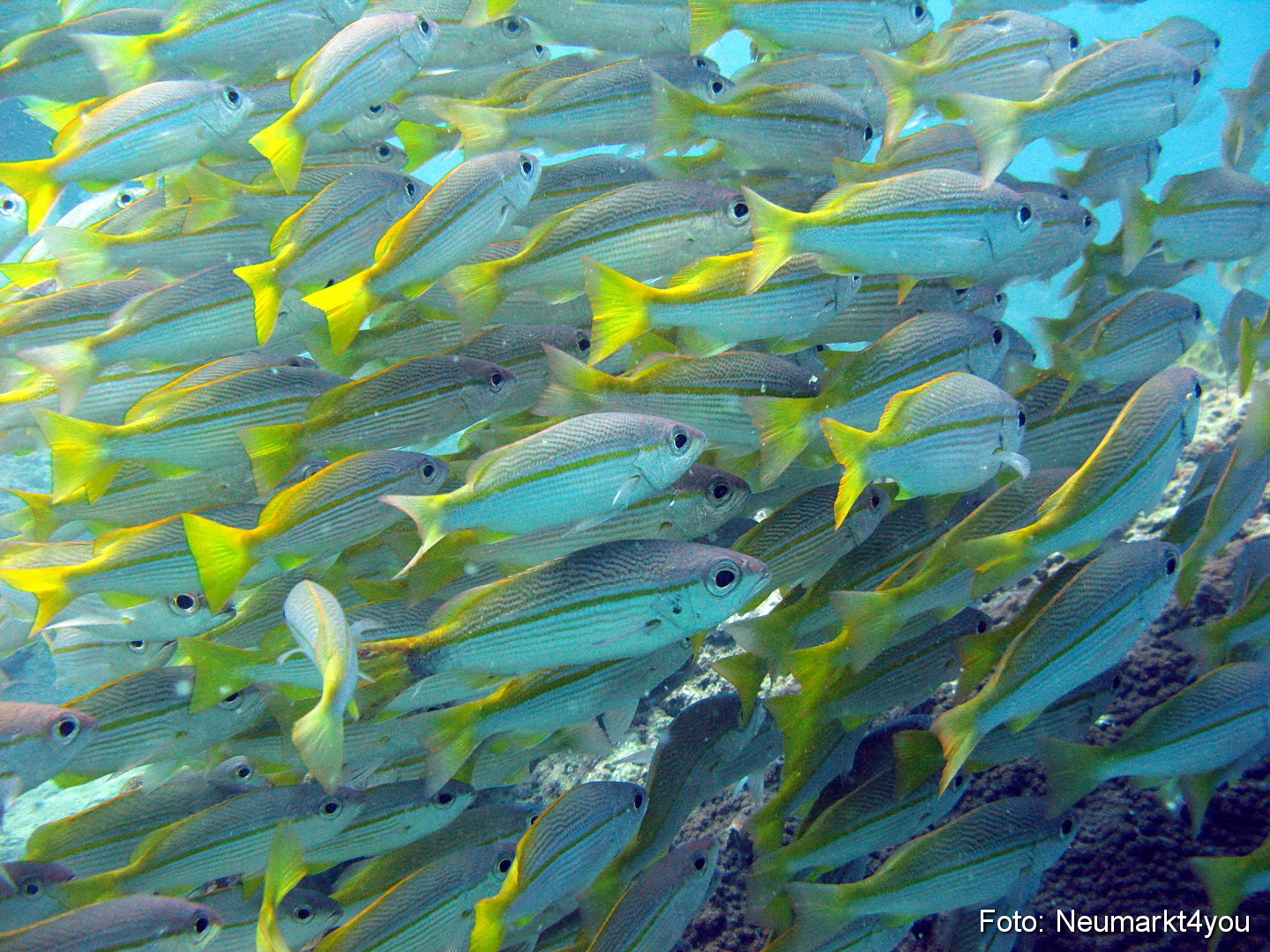 Oman September 2010 0051