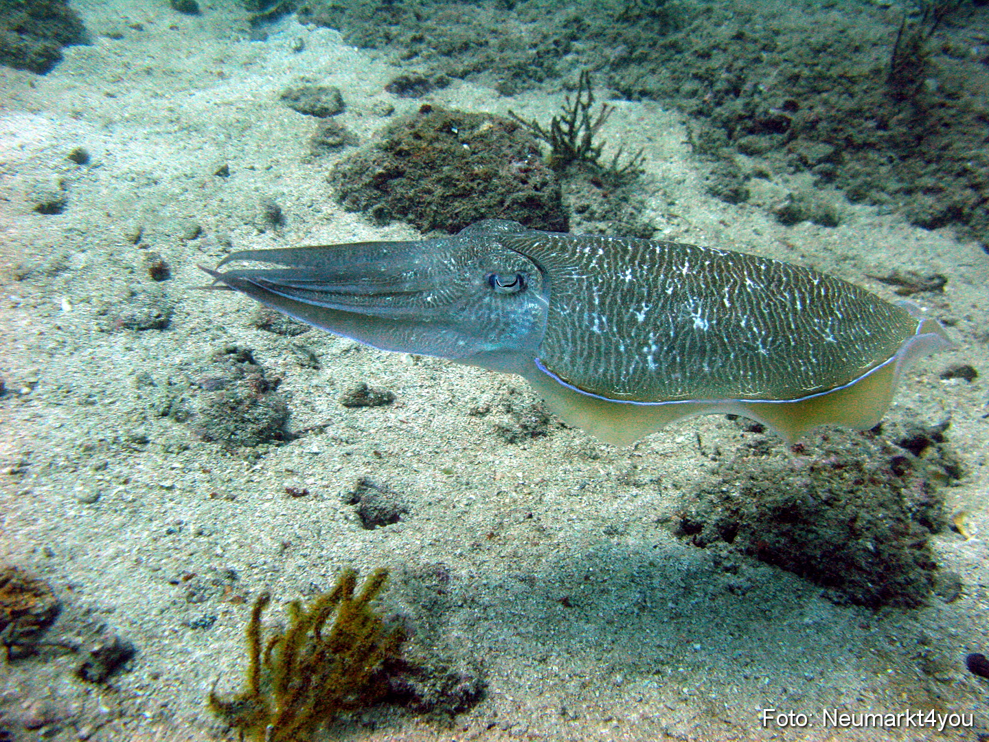 Oman September 2010 0052