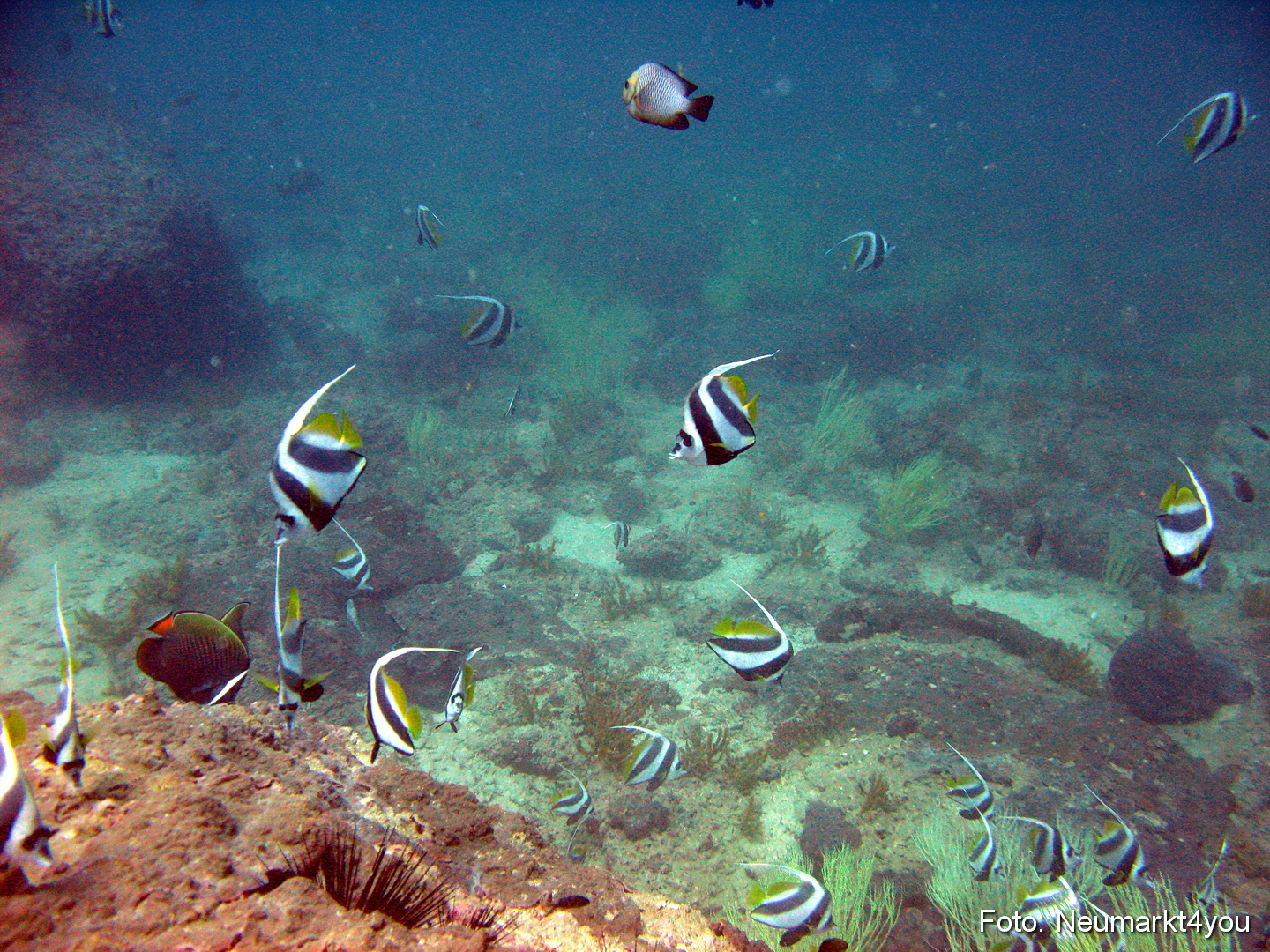 Oman September 2010 0053