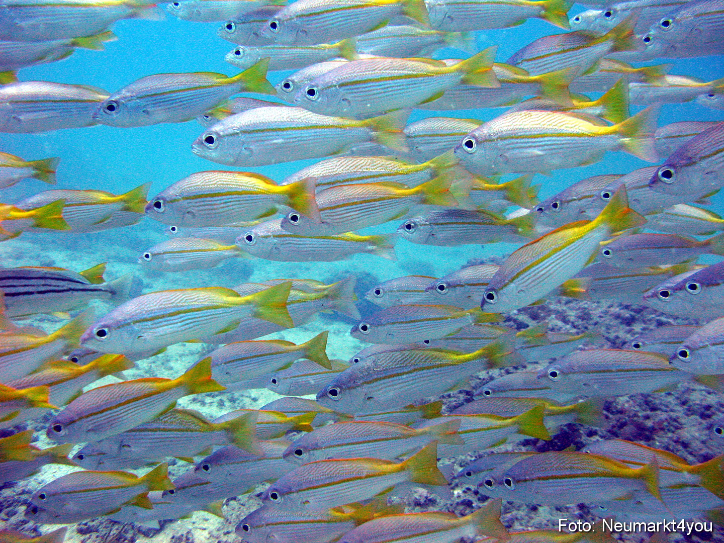 Oman September 2010 0054