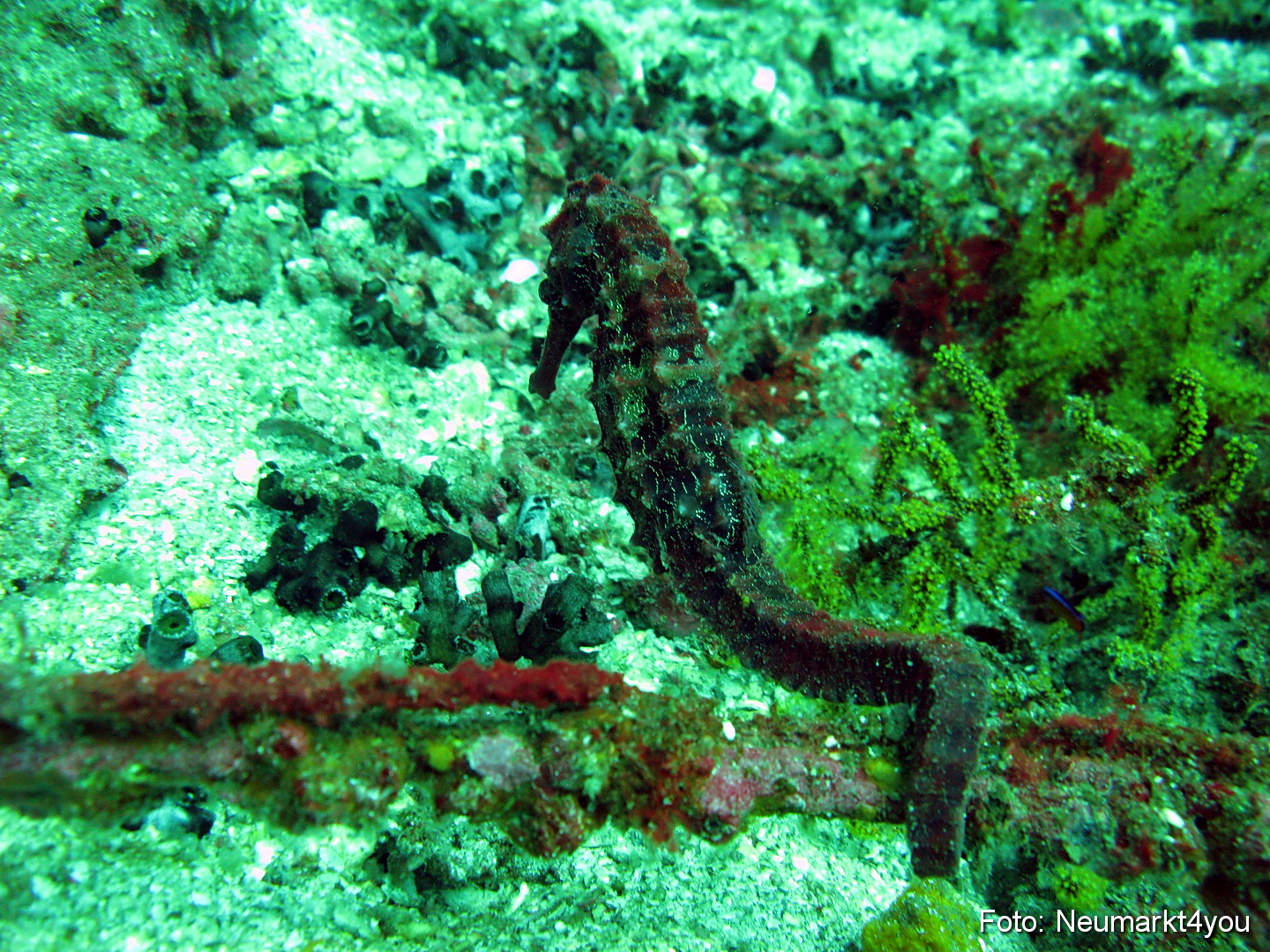 Oman September 2010 0056