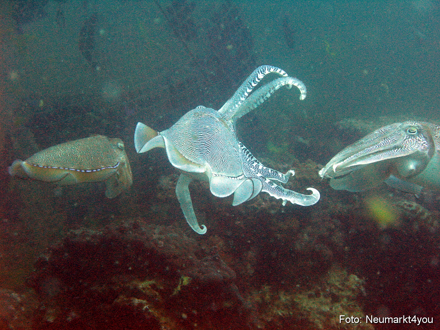 Oman September 2010 0057