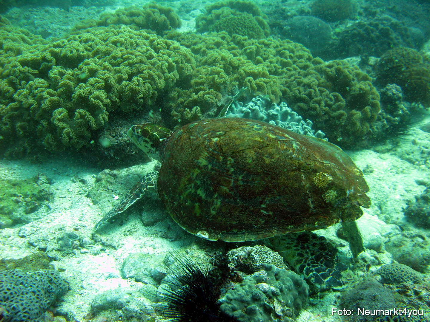 Oman September 2010 0058