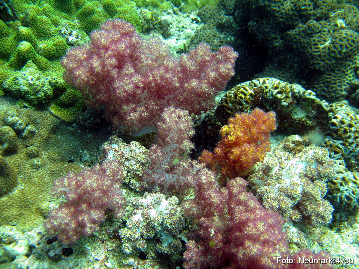 Oman September 2010 0059