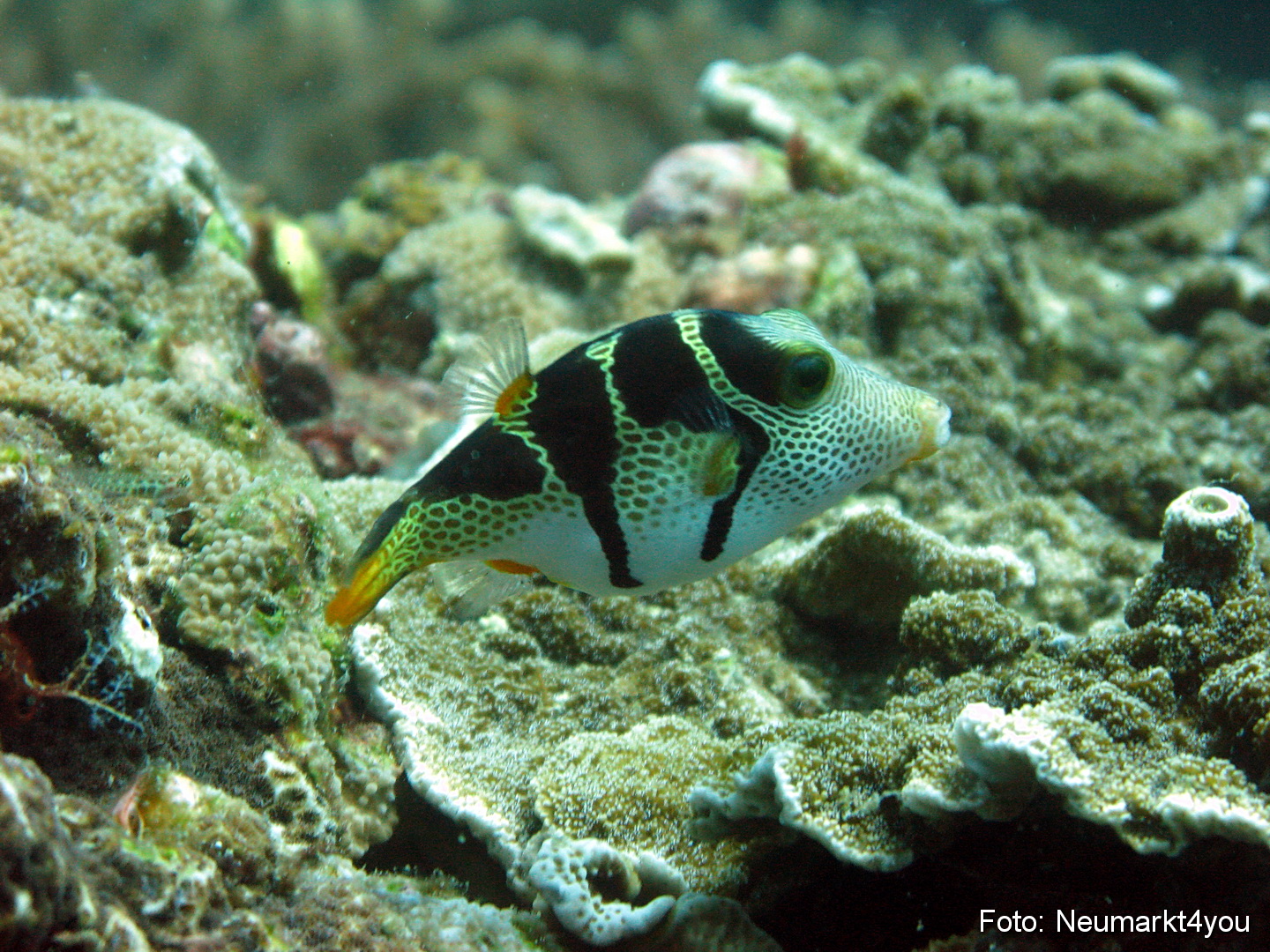 Oman September 2010 0060