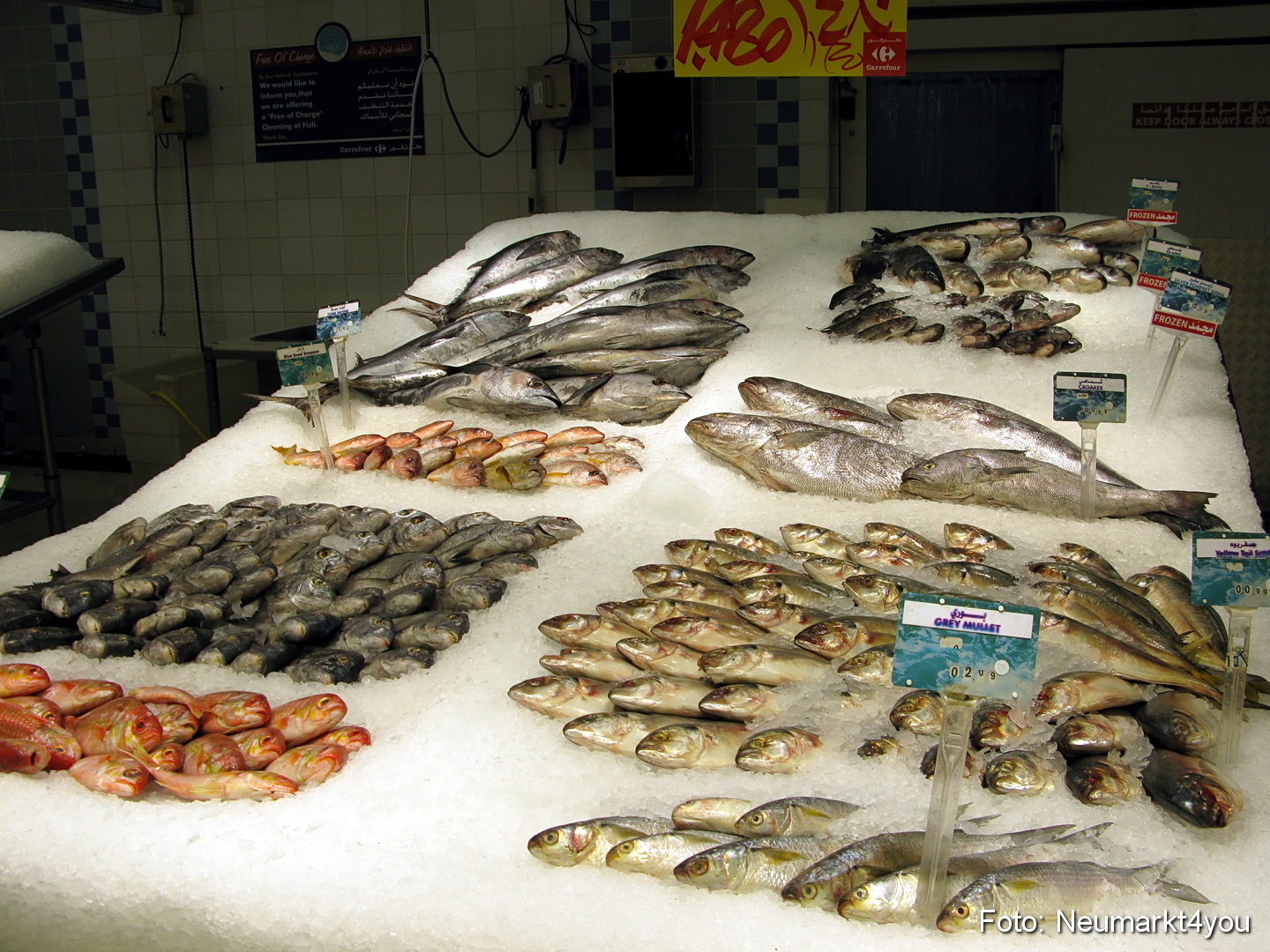 Oman September 2010 0065