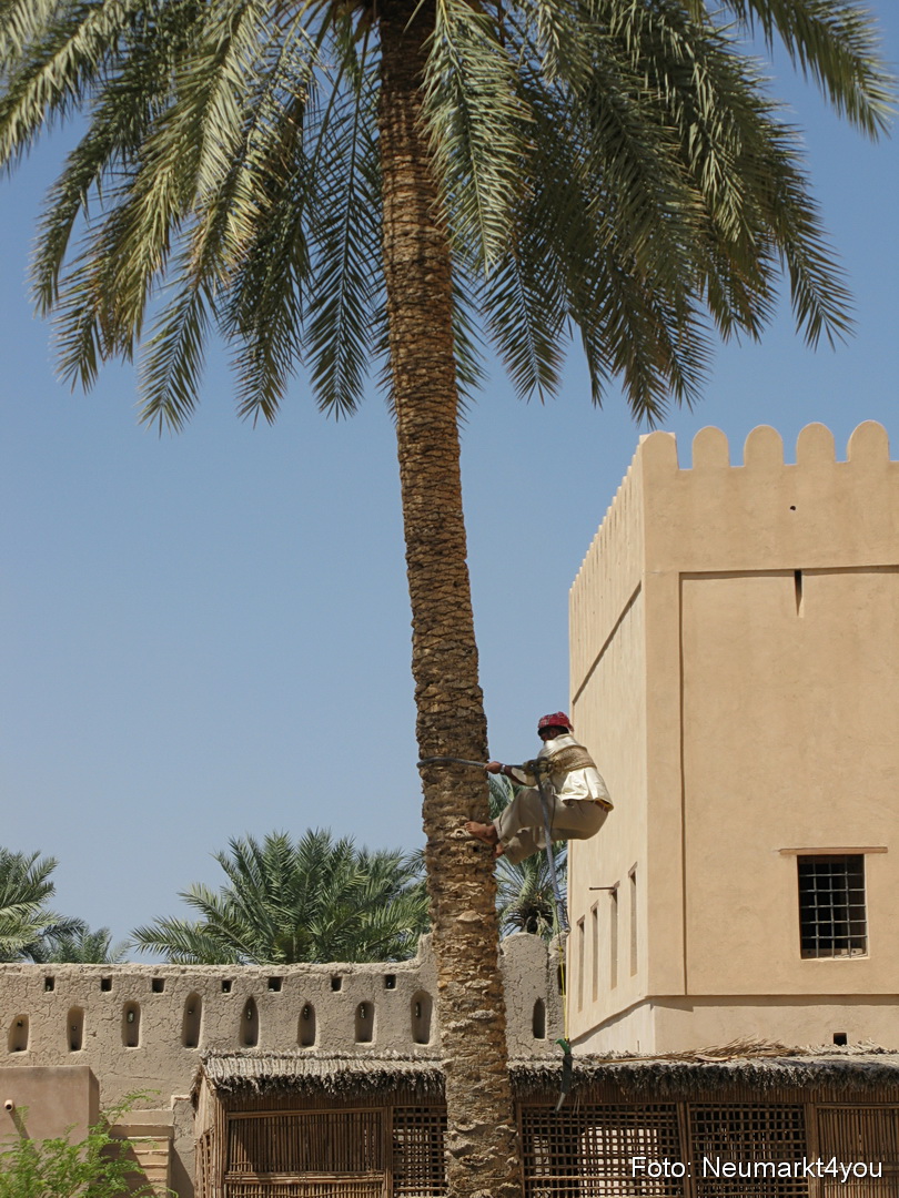 Oman September 2010 0091