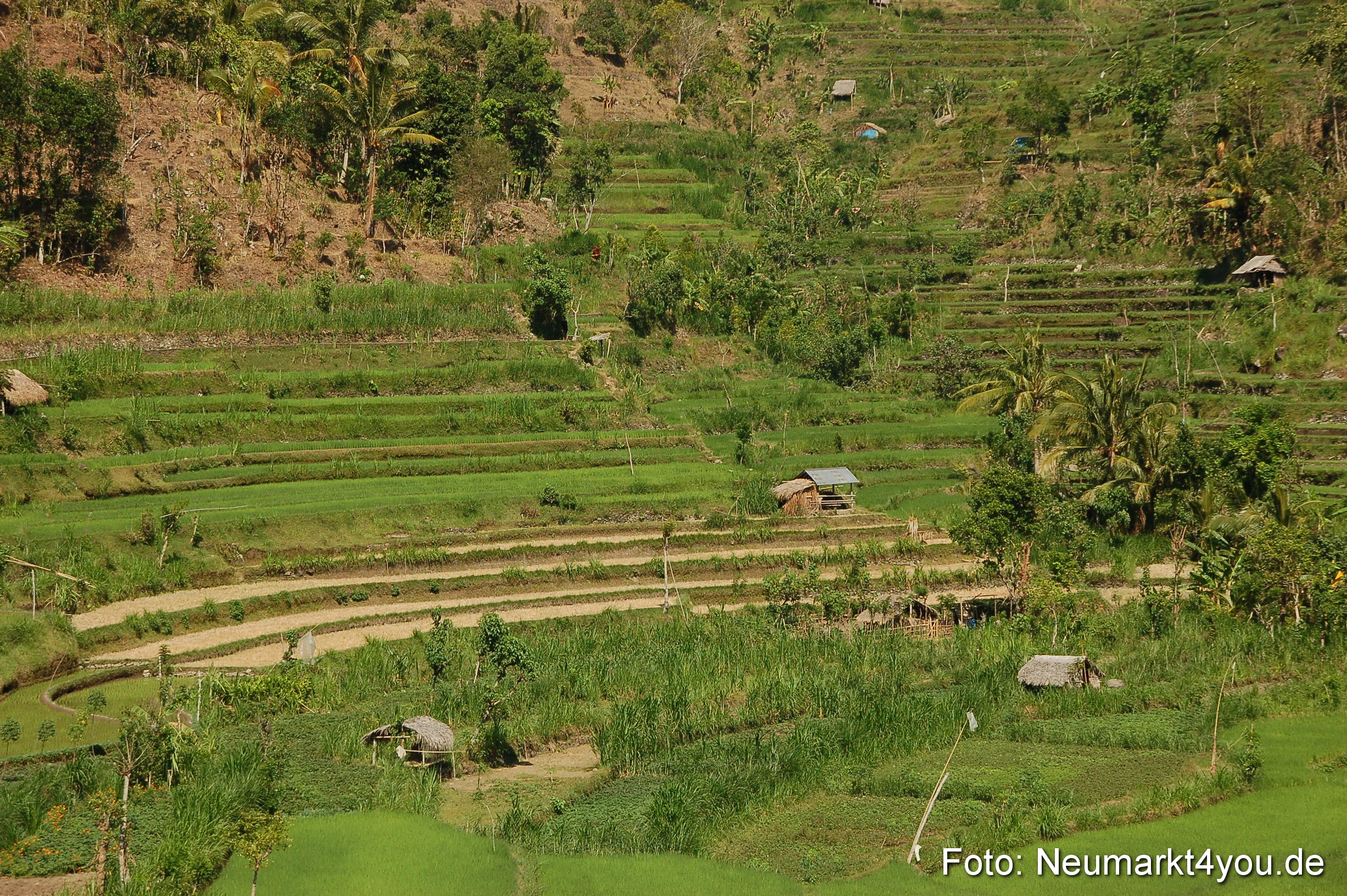 Bali 2012 0046