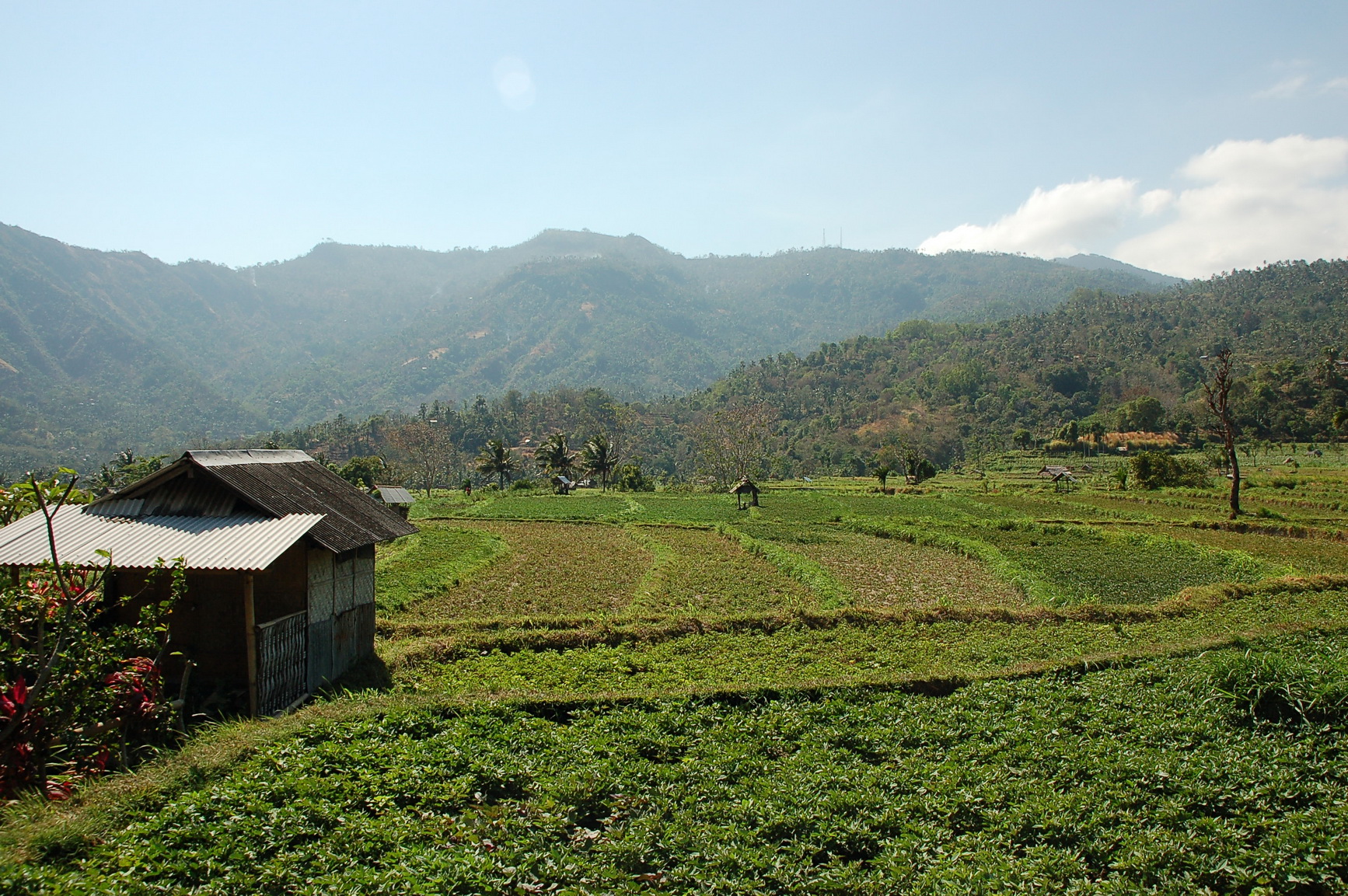 Bali Singapur 2012 0028