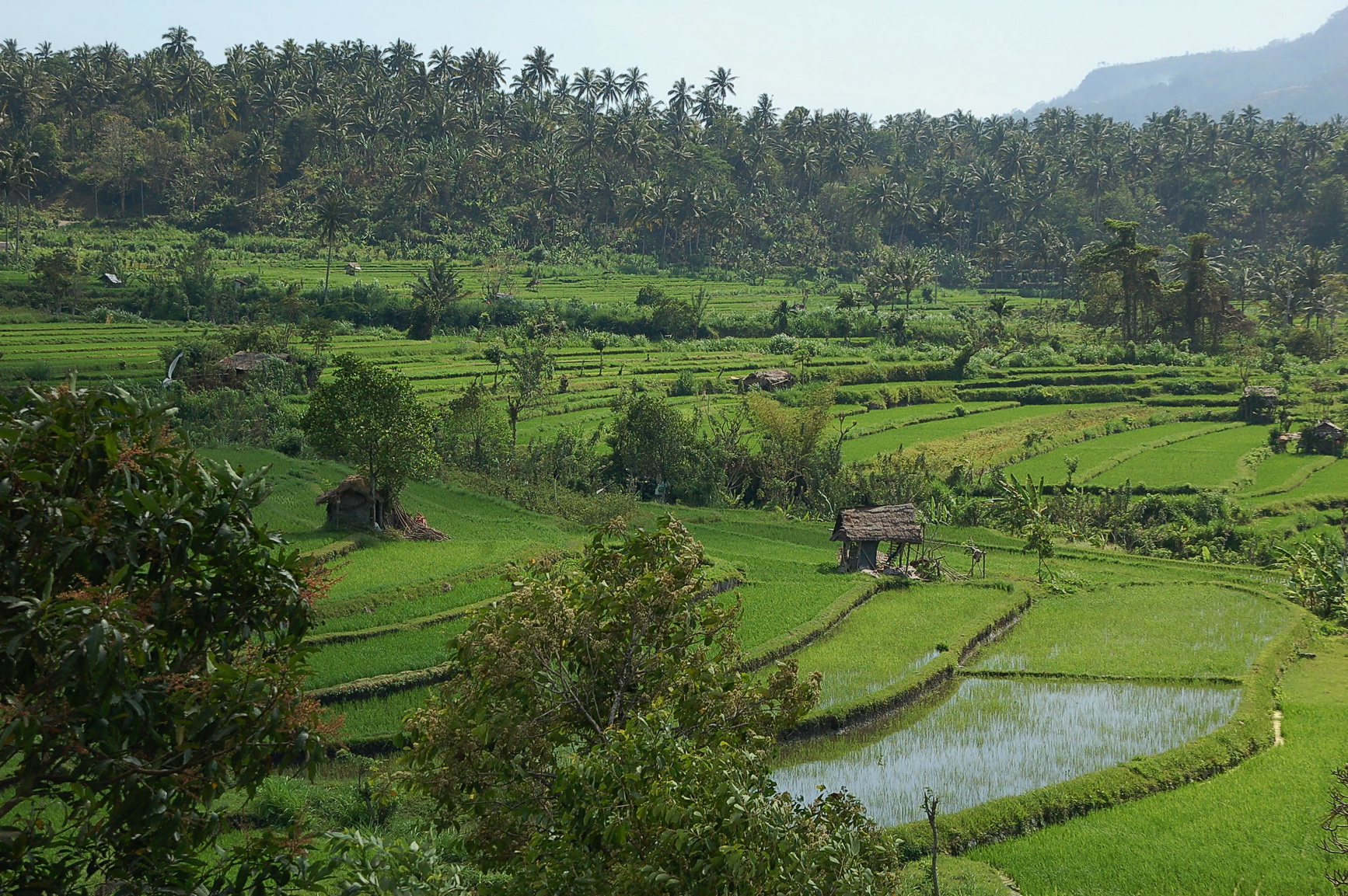 Bali Singapur 2012 0029
