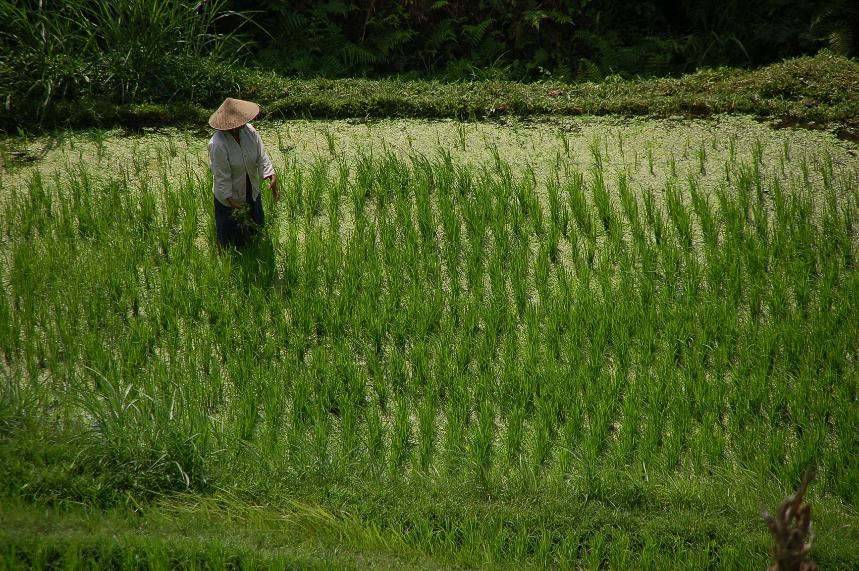 Bali Singapur 2012 0030